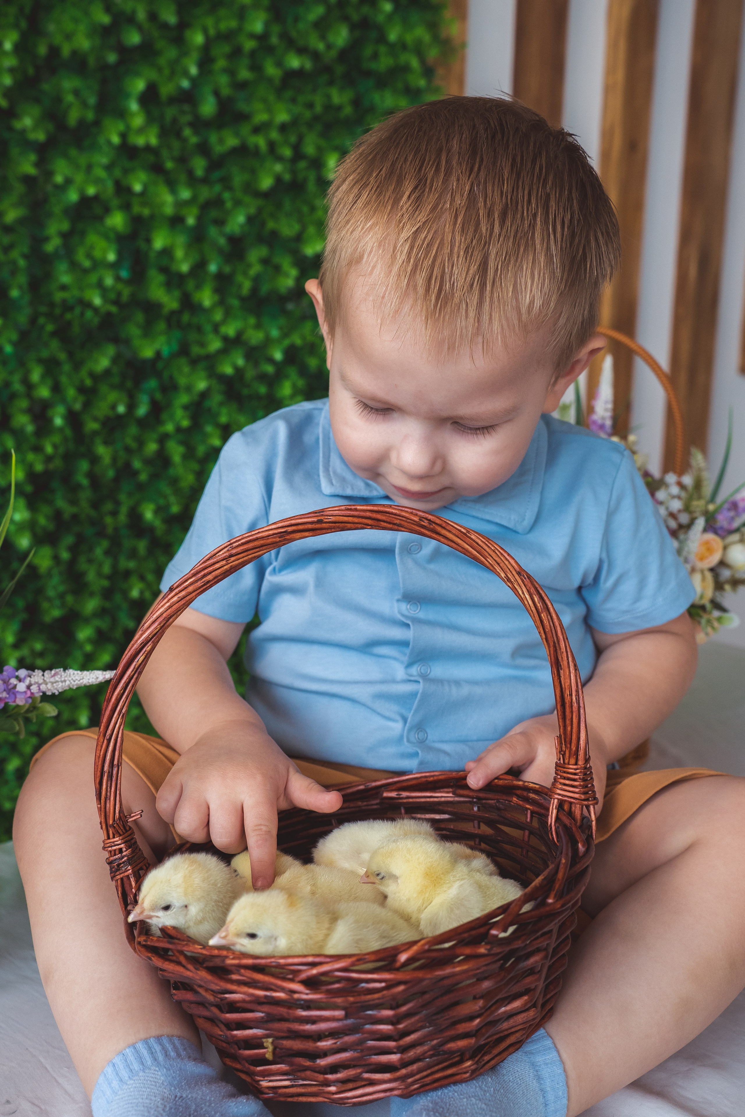 Пасхальный фотодень с цыплятами и кроликами. Фотограф Маргарита Слободянина в Хабаровске