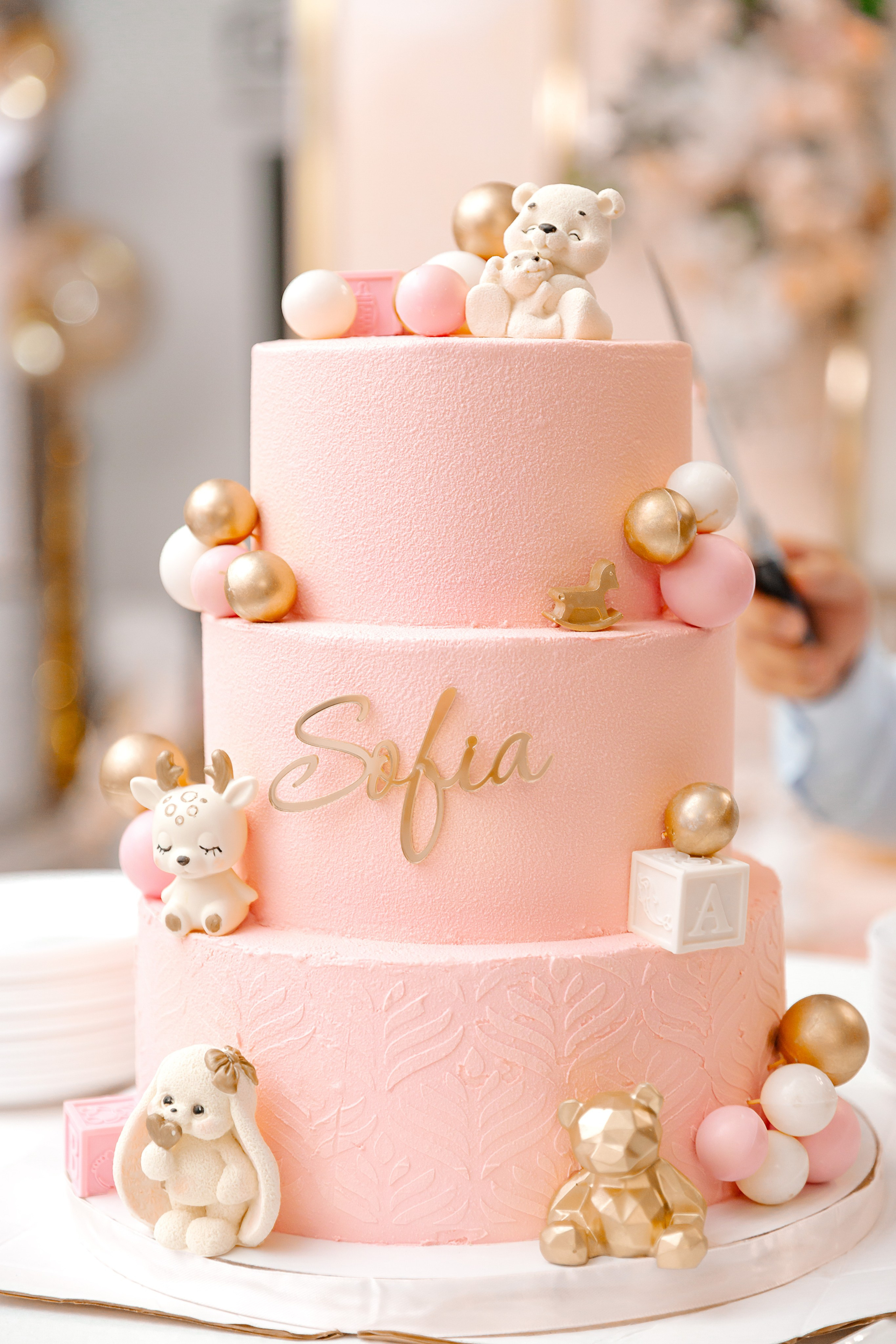 Асянди Софии в Family House