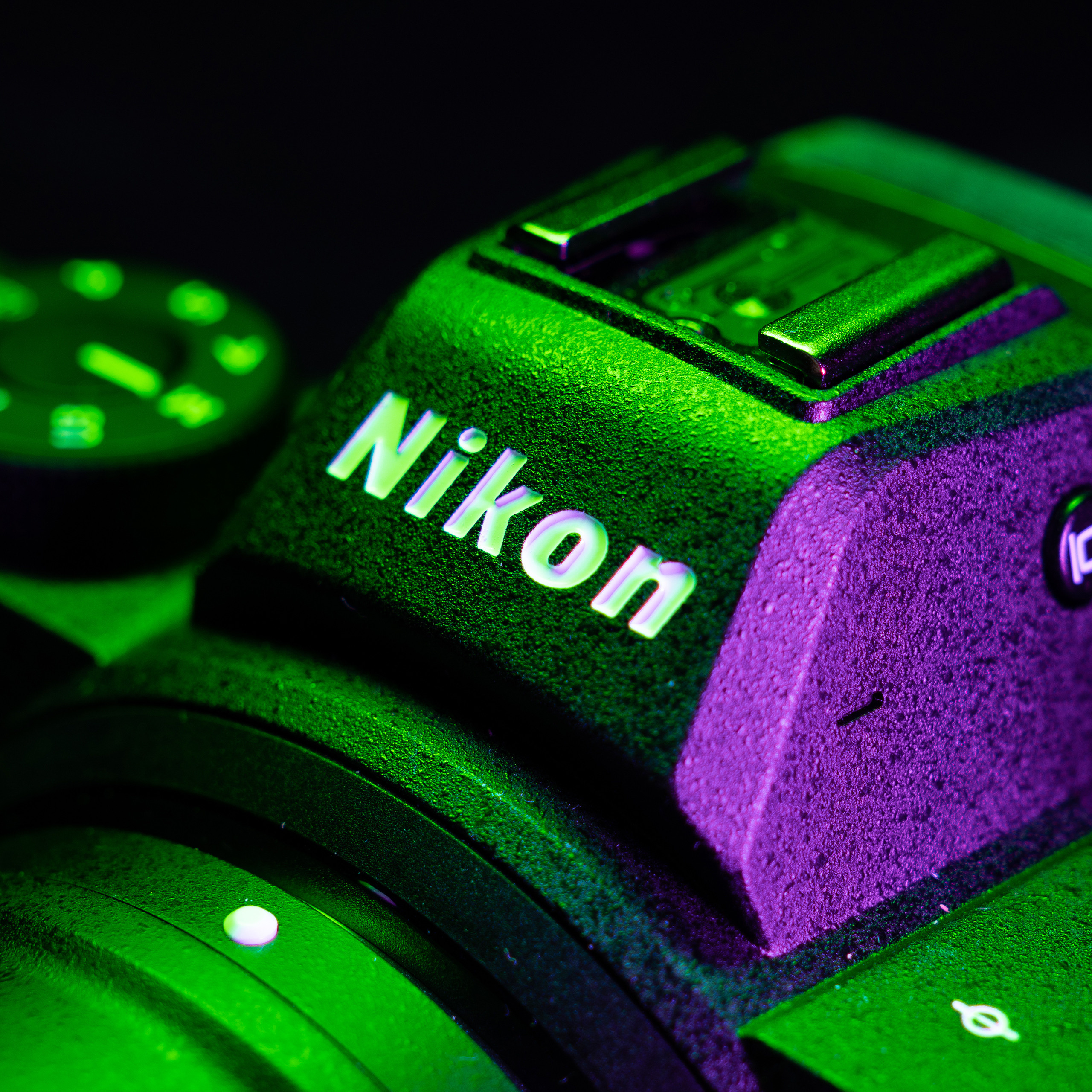 Nikon Z5. Ворон Роман — фотограф