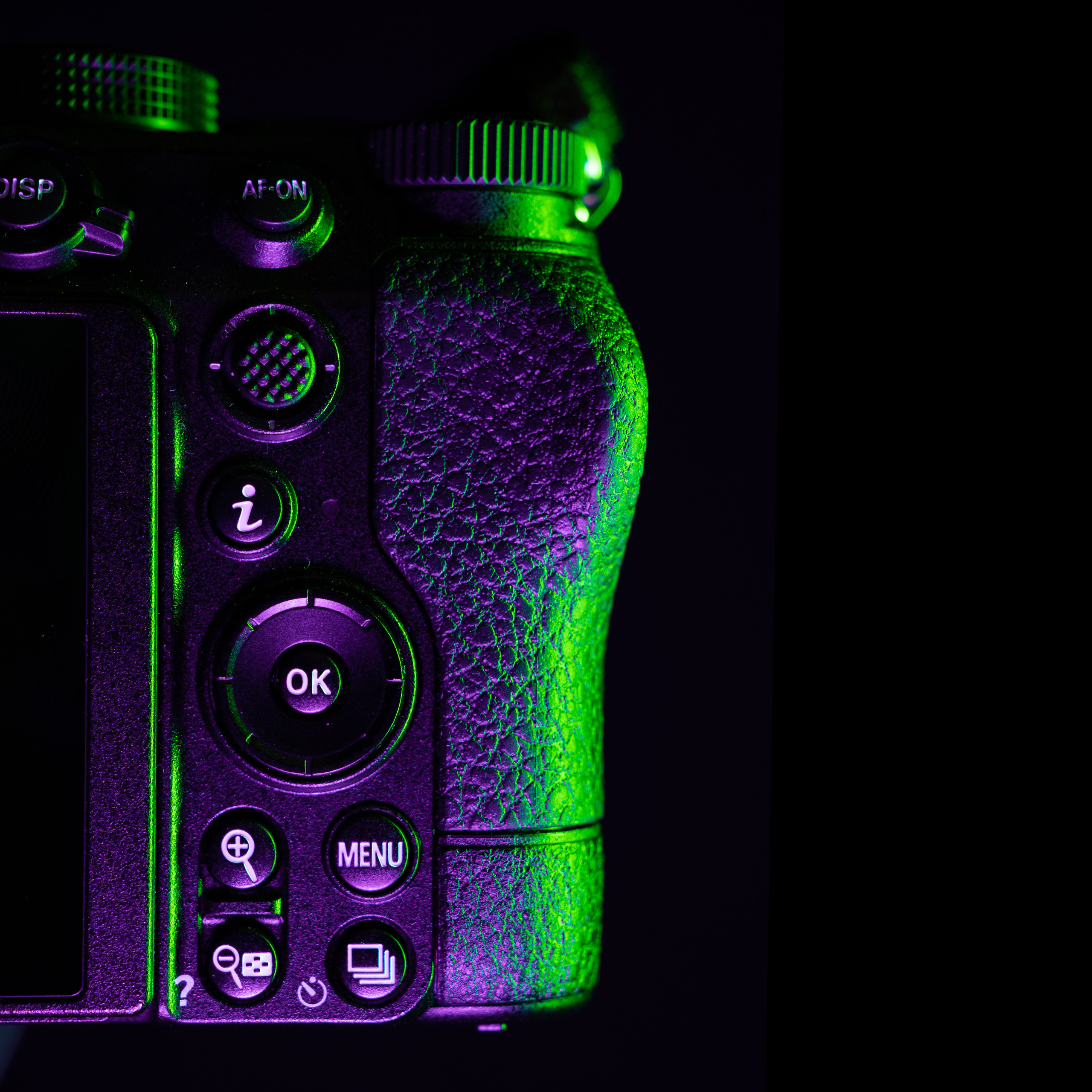 Nikon Z5. Ворон Роман — фотограф