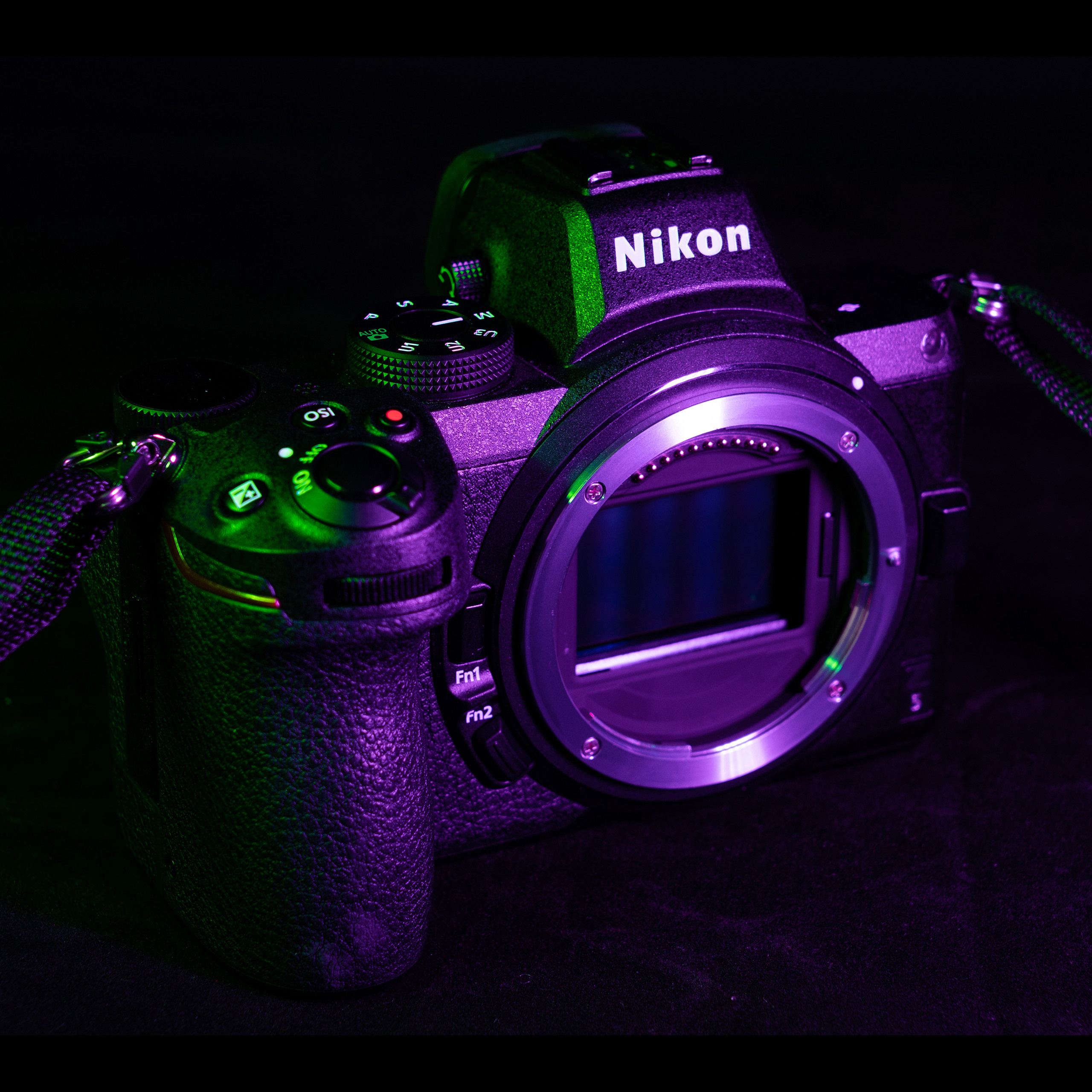 Nikon Z5. Ворон Роман — фотограф