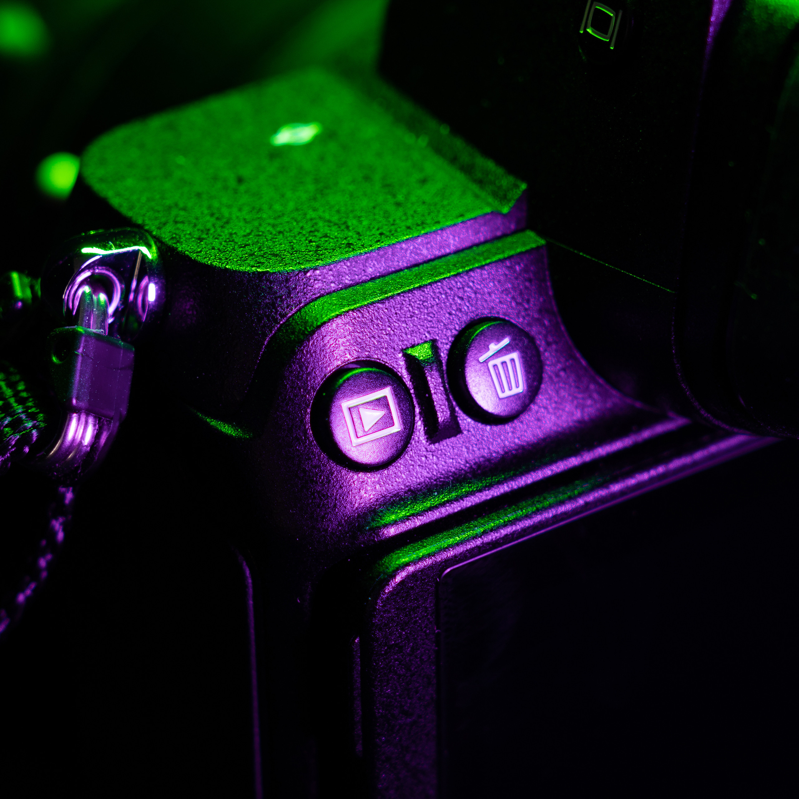 Nikon Z5. Ворон Роман — фотограф