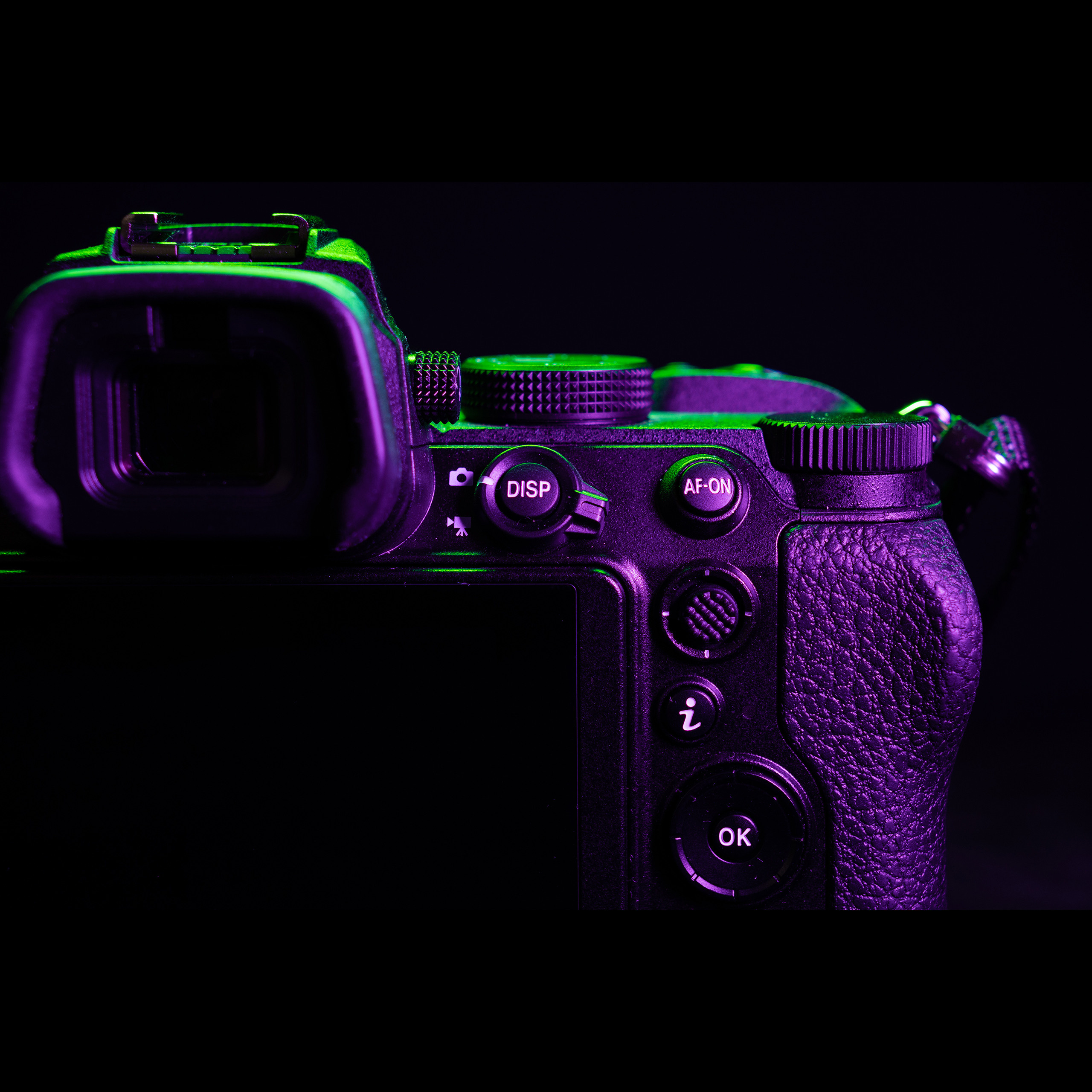 Nikon Z5. Ворон Роман — фотограф