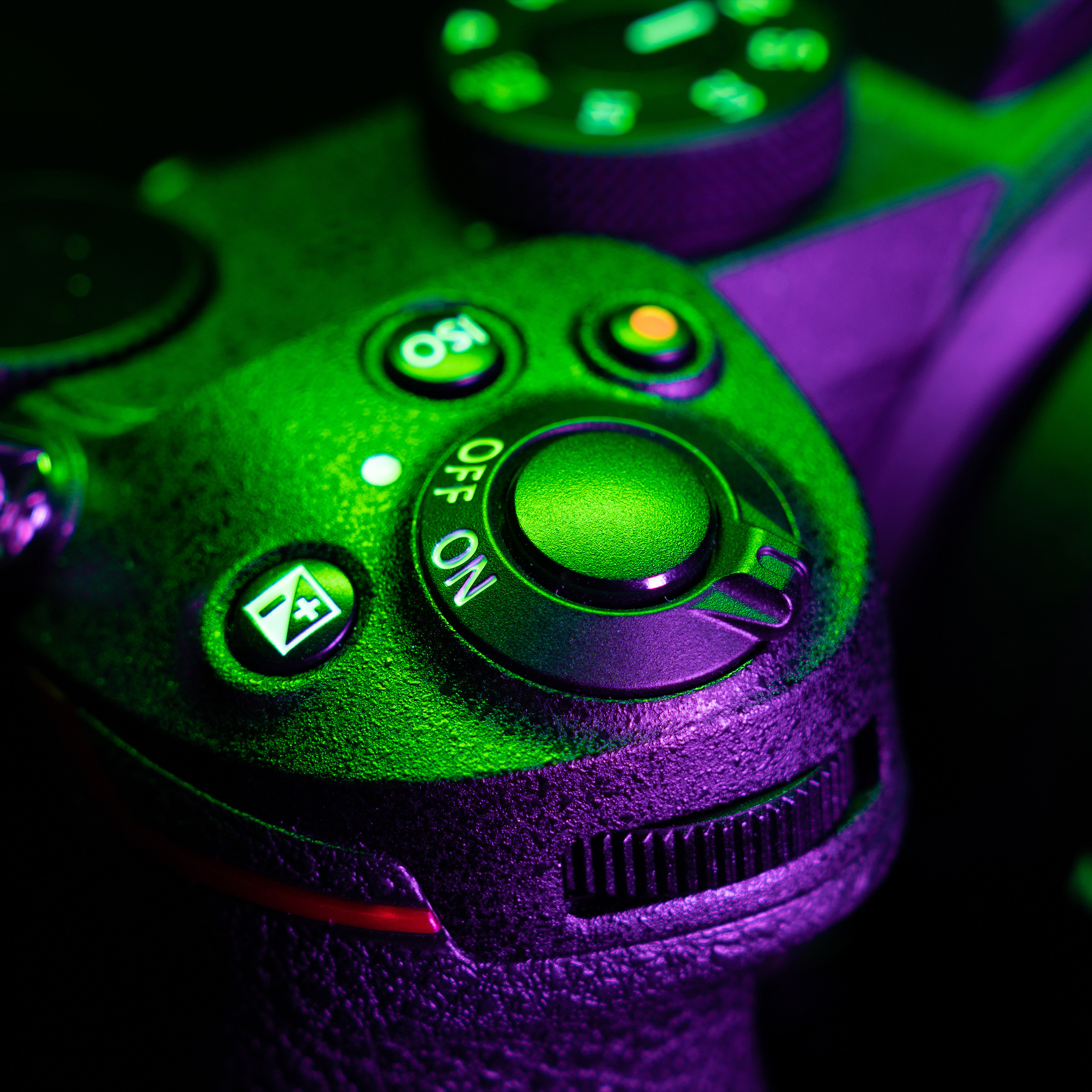 Nikon Z5. Ворон Роман — фотограф