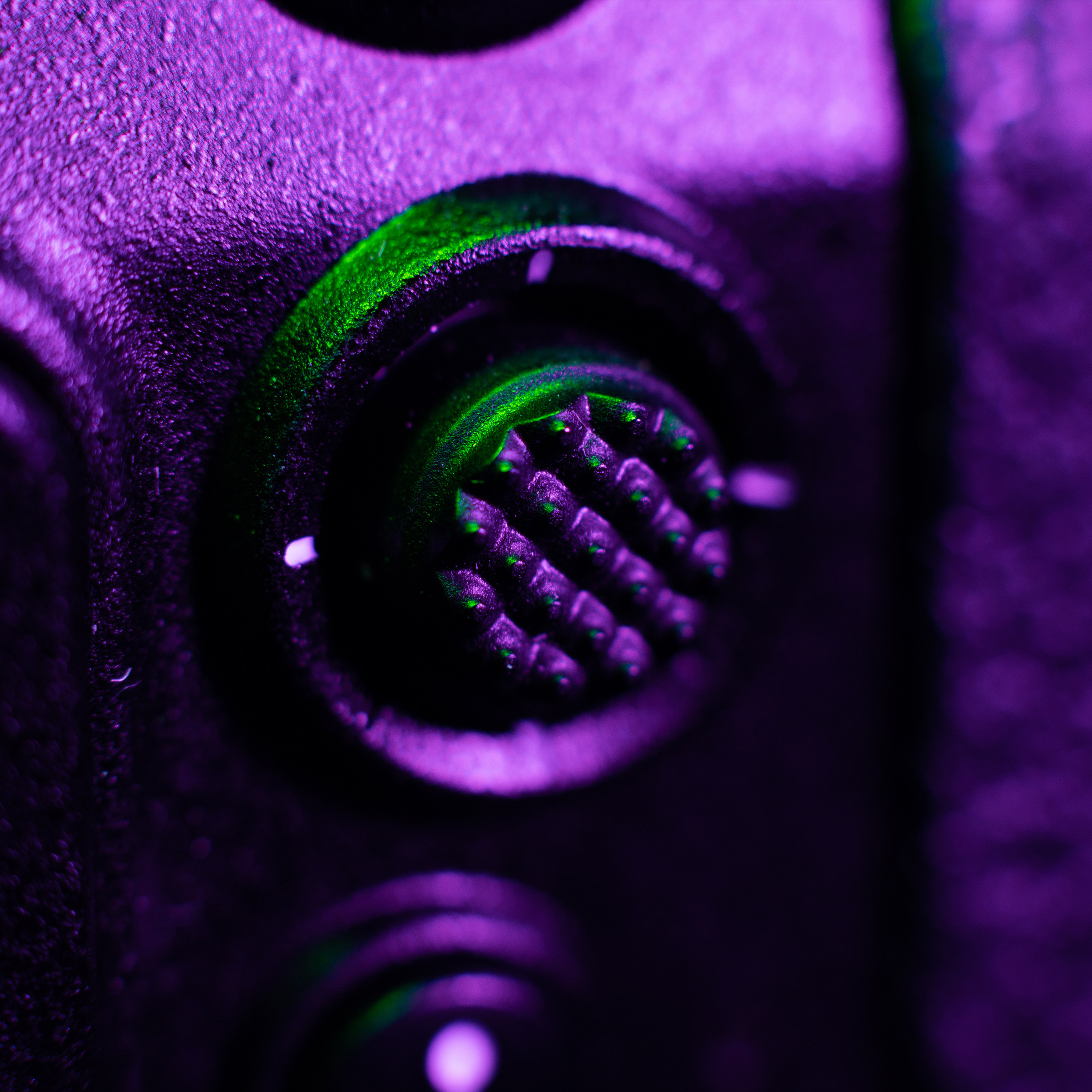 Nikon Z5. Ворон Роман — фотограф