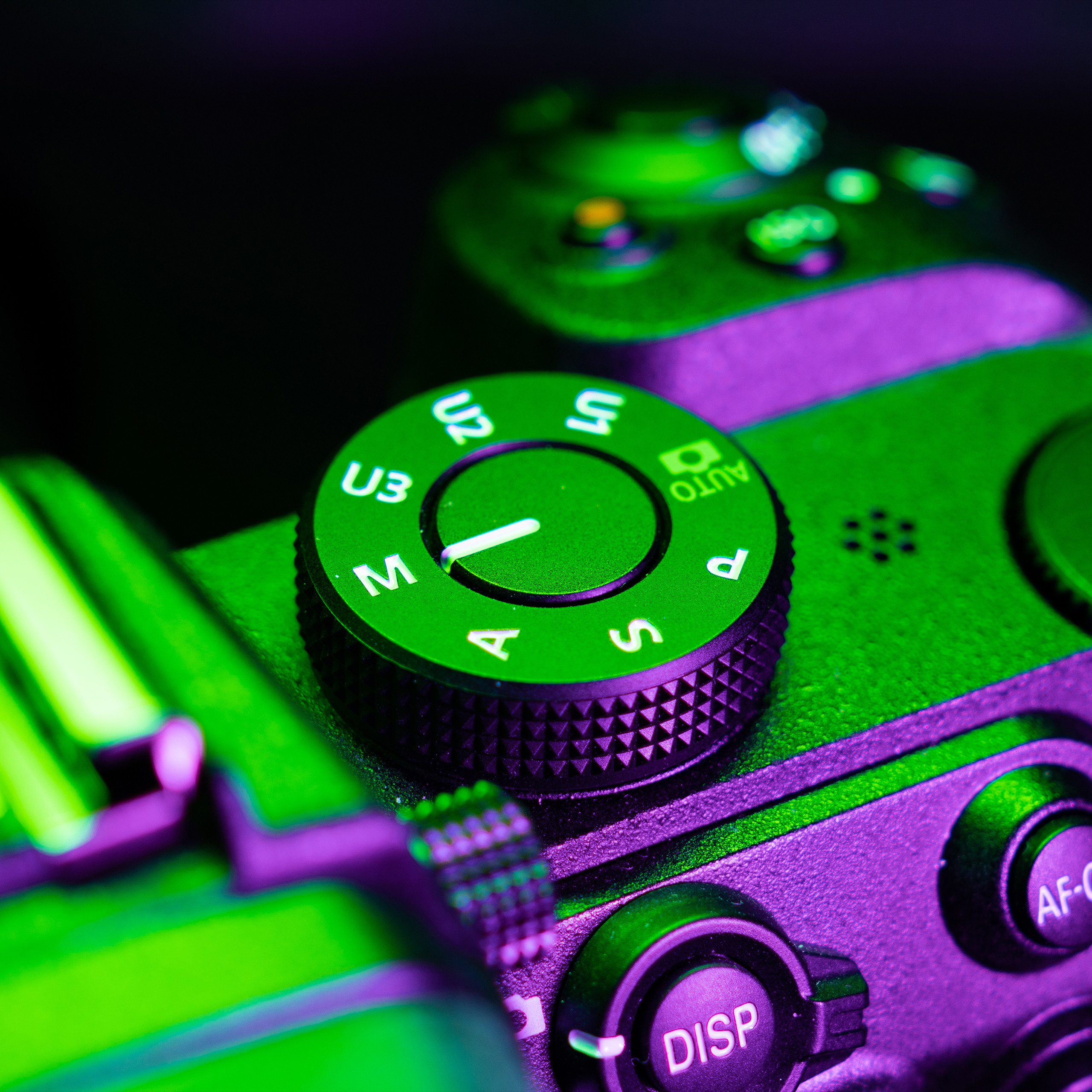 Nikon Z5. Ворон Роман — фотограф