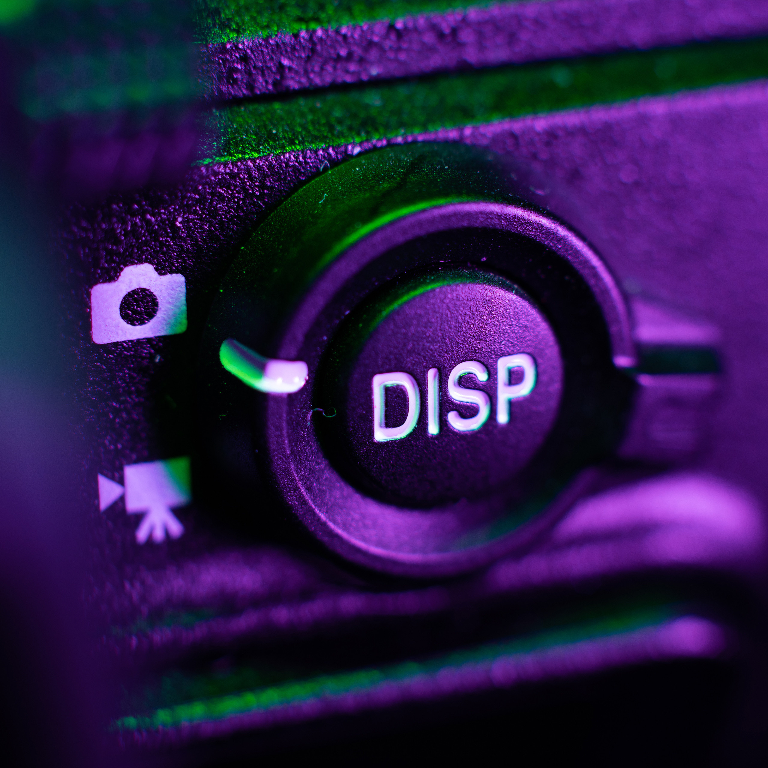 Nikon Z5. Ворон Роман — фотограф