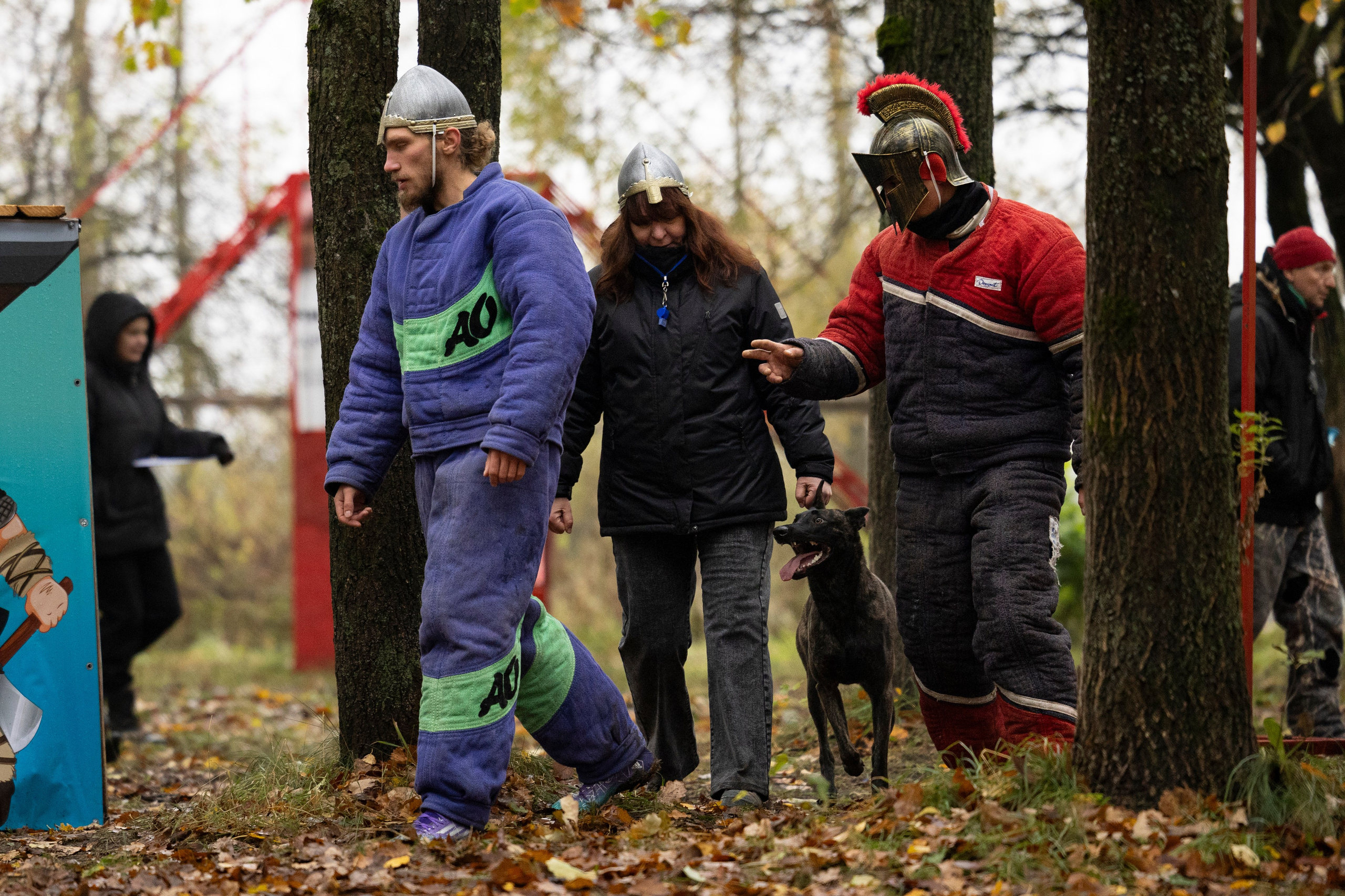 Соревнования по Мондьорингу г. Вологда. Фотограф-анималист Анна Маринич