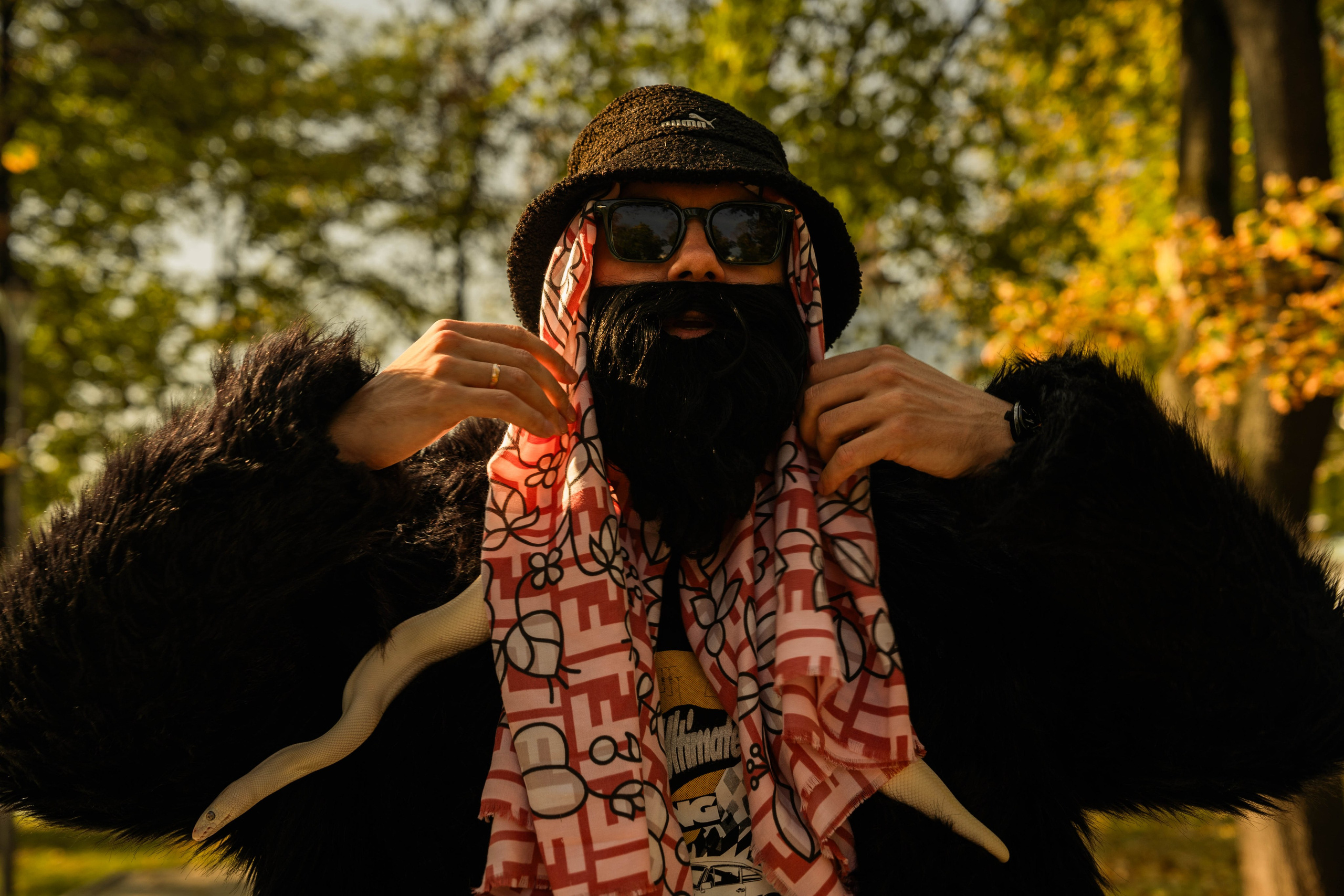 Галерея. Beardy Pix