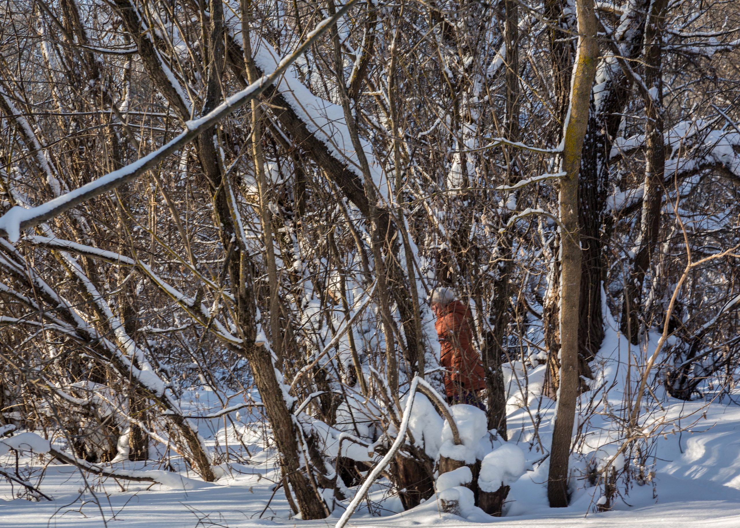 ТАТЬЯНИН ДЕНЬ. Контакты