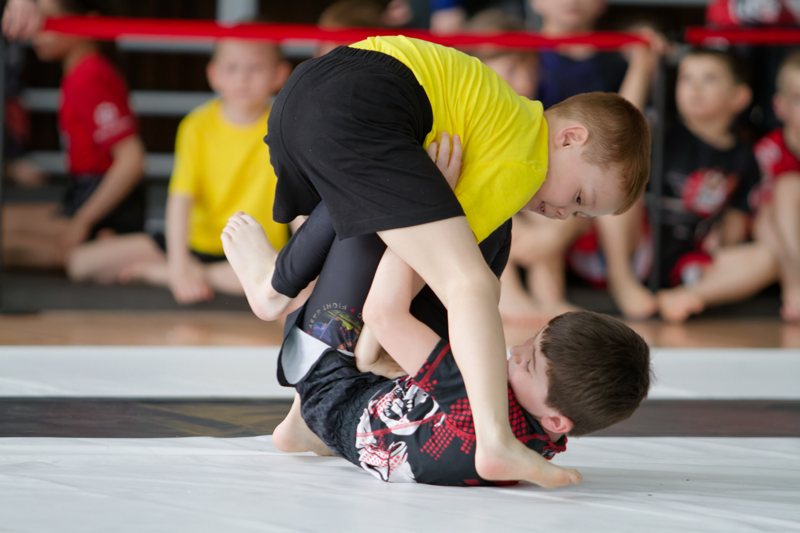 Борьба. Джиу-джитсу 26.04.2025. Репортажный и спортивный фотограф в г. Пермь Зильберг Павел