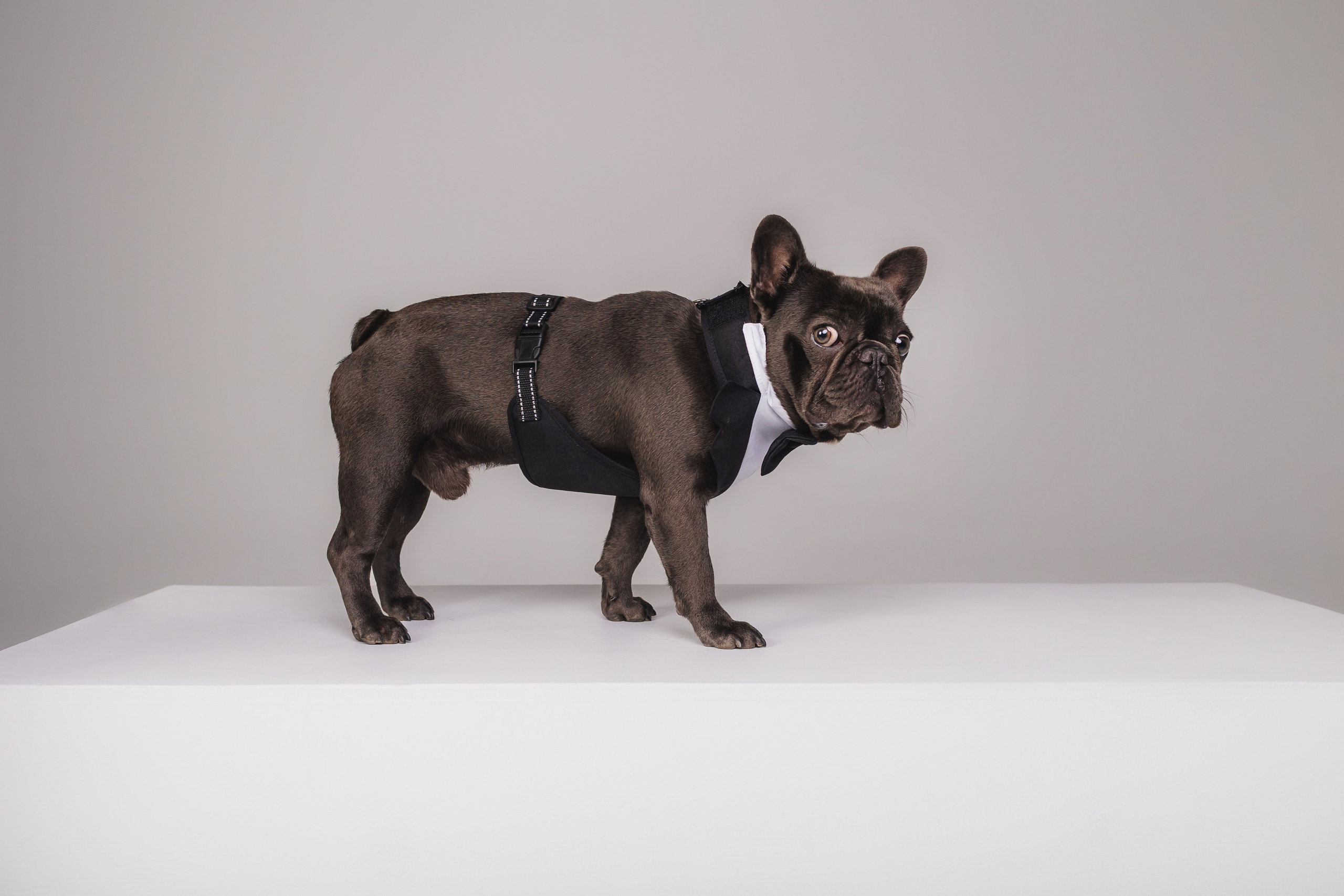 Кристина и Счастье