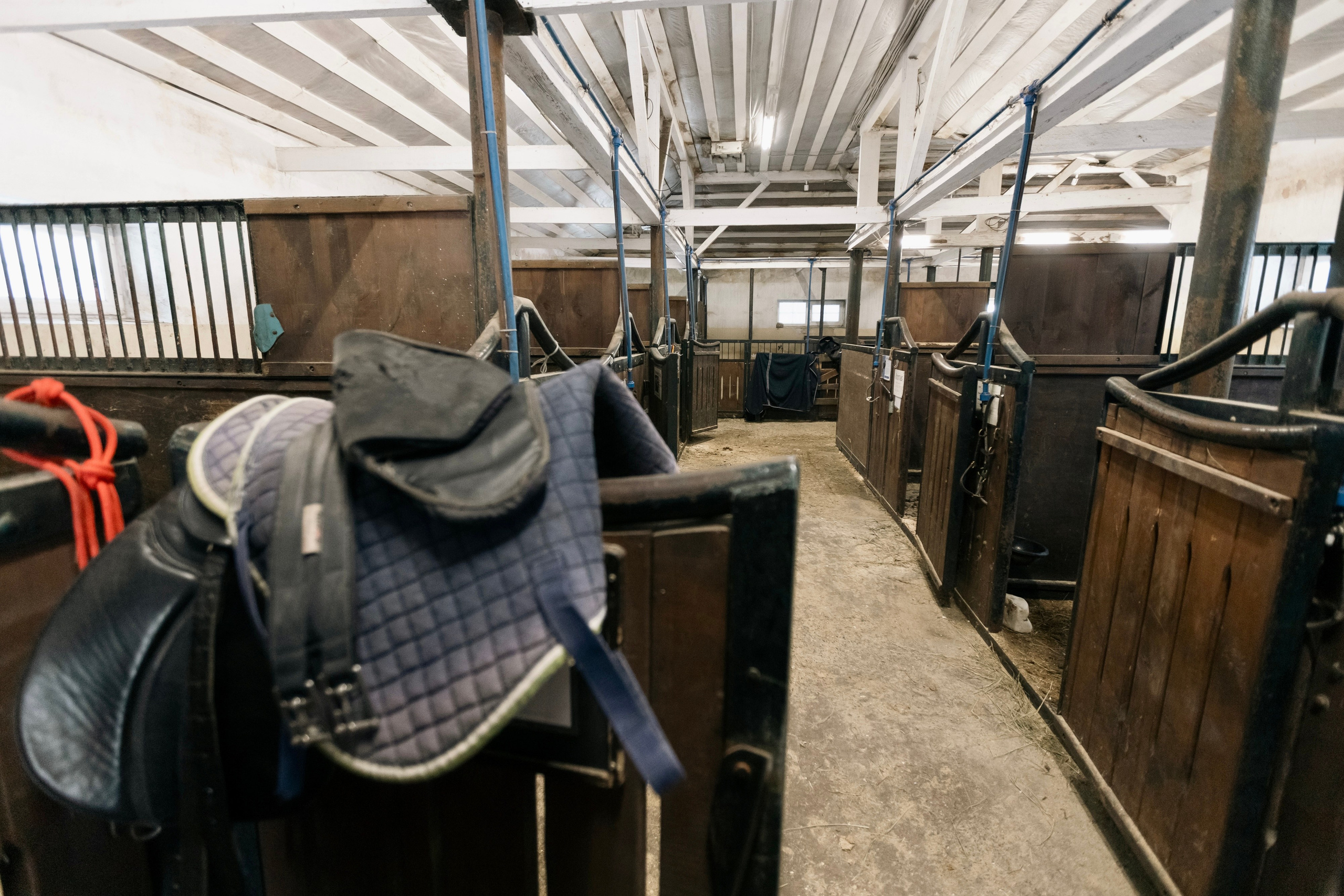 Татьяна Мустякимова. Хозяйка пони-фермы. Репортажный фотограф Наталья Лапцевич