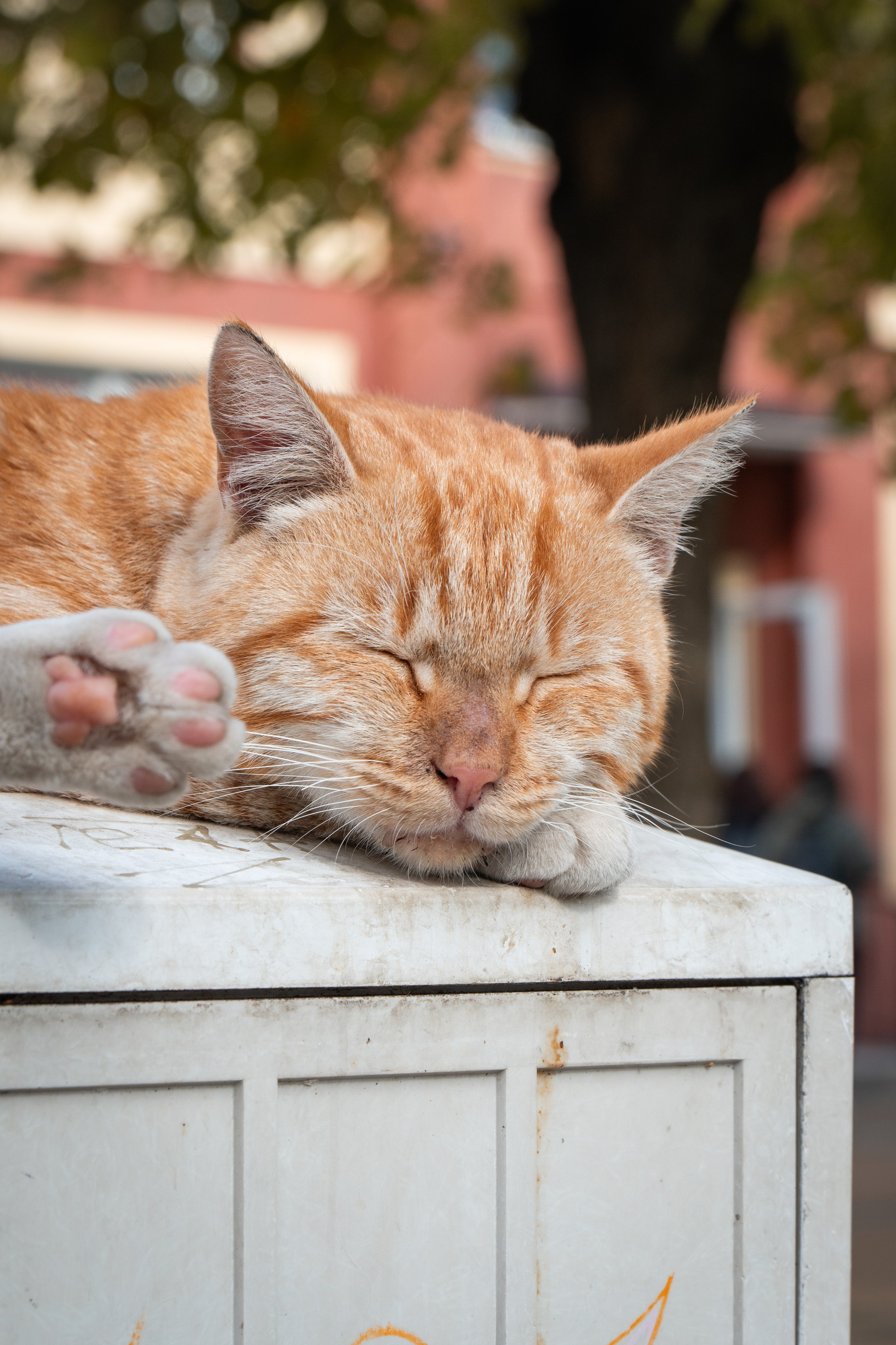 Калининградская область. Gusarov Travel Photography