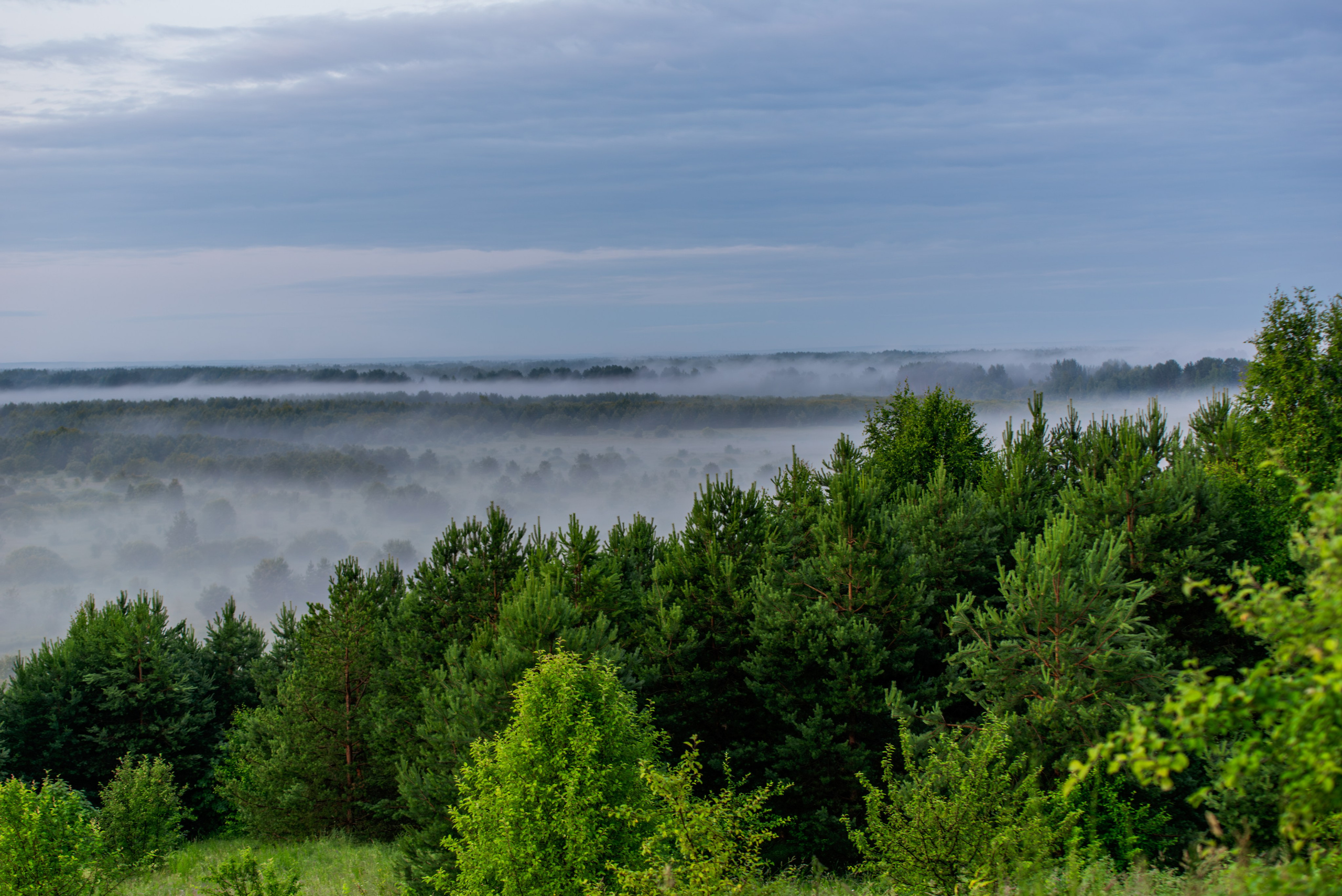 Туманное летнее утро. Фотограф в Ветлуге Сергей Белов (VETLUGA B.S.)