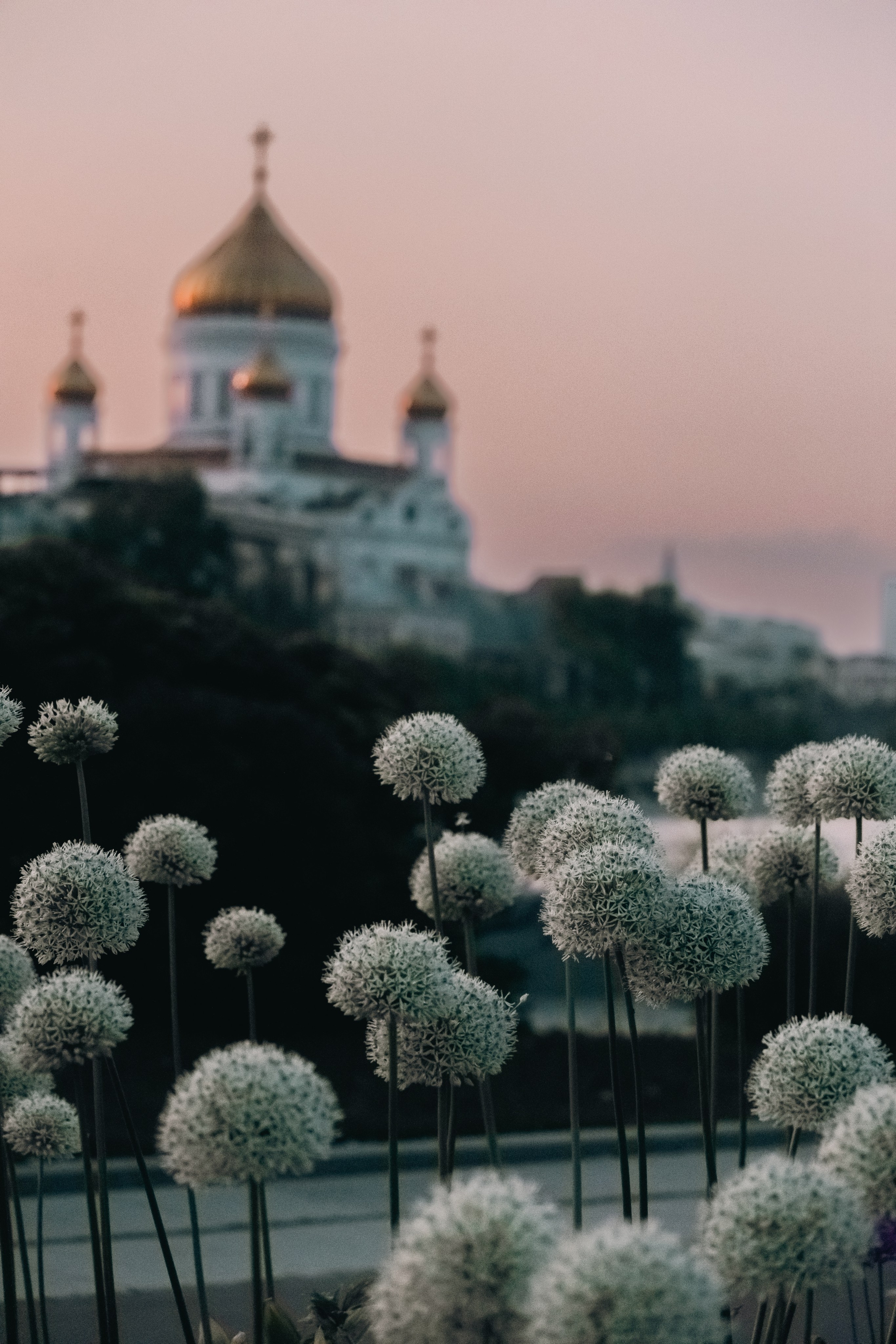 Moscow Selection. M. Neizvestniy — уличная и спортивная фотография