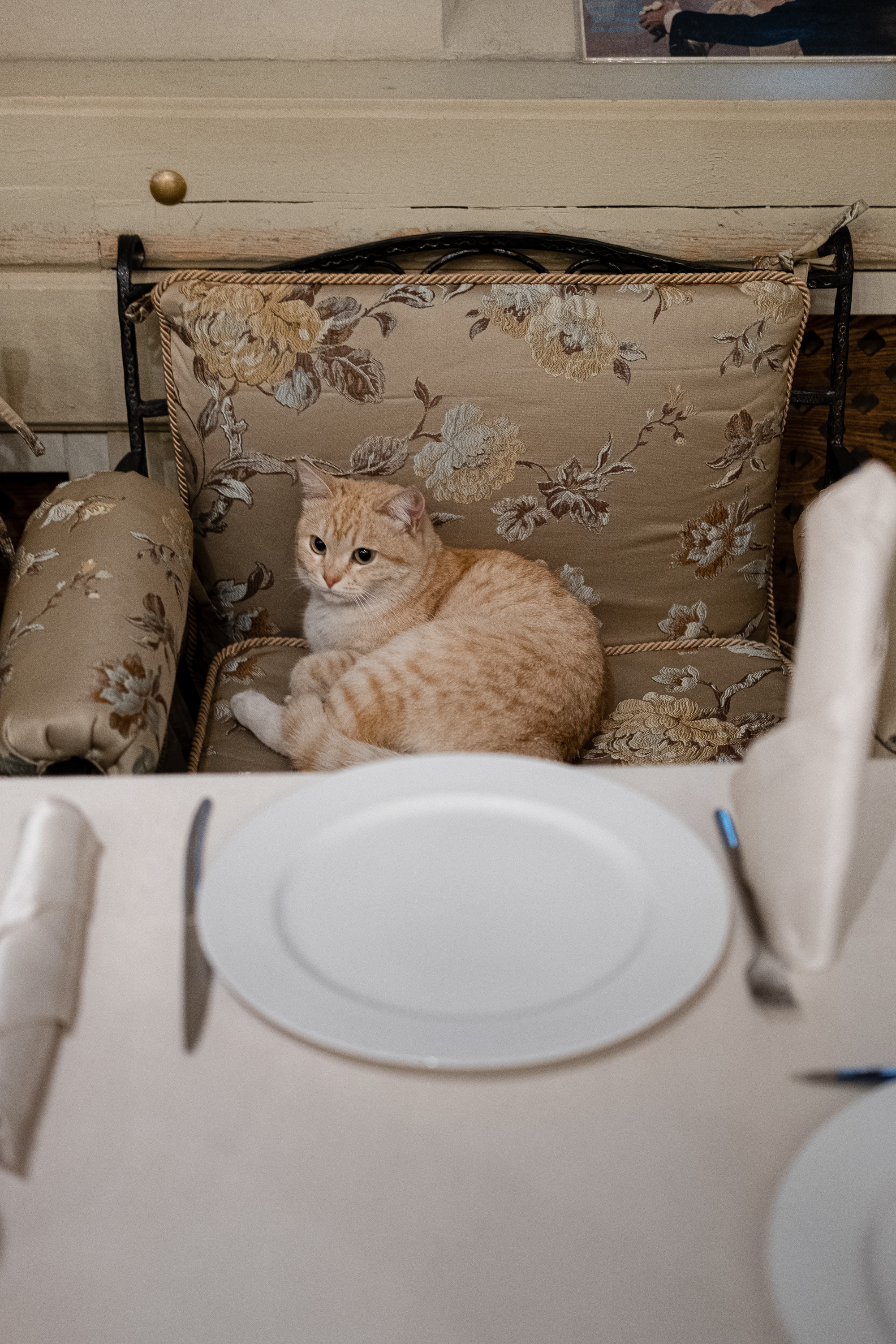 Ресторан «Ностальгия». Фотограф Ёля Ильясова Оренбург