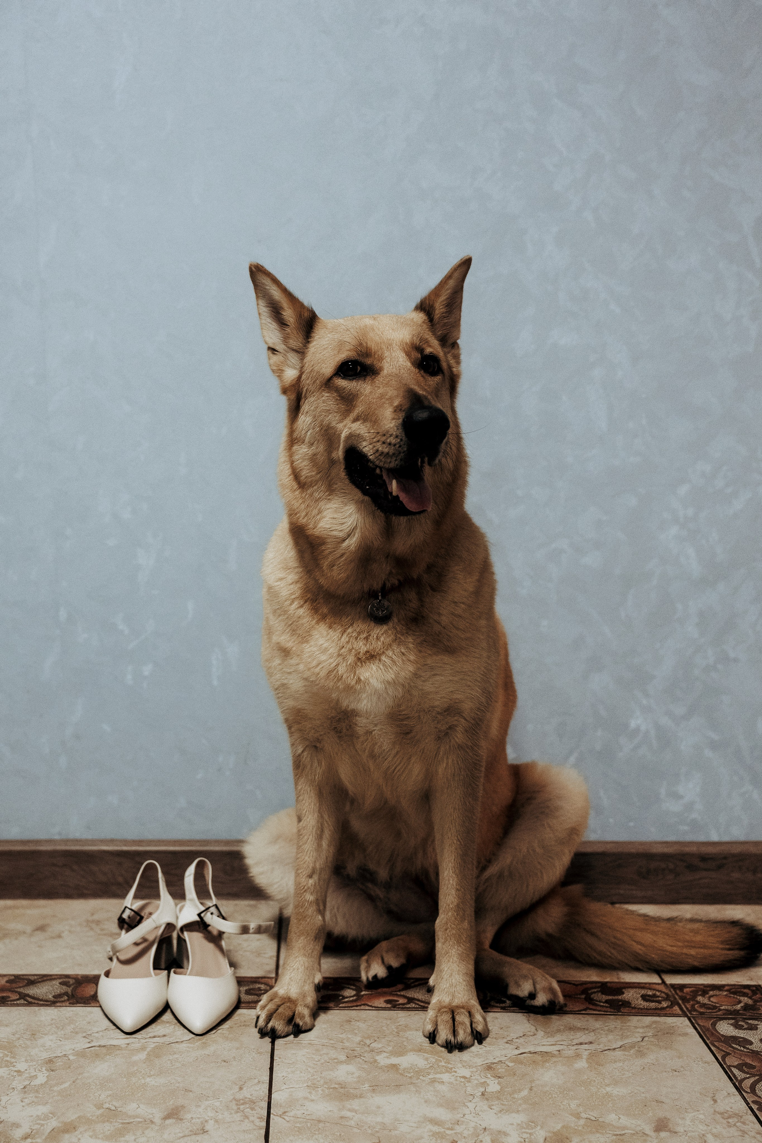 Свадебная фотосессия в Пушкине. Профессиональный фотограф в Санкт-Петербурге Александр Волосенцев