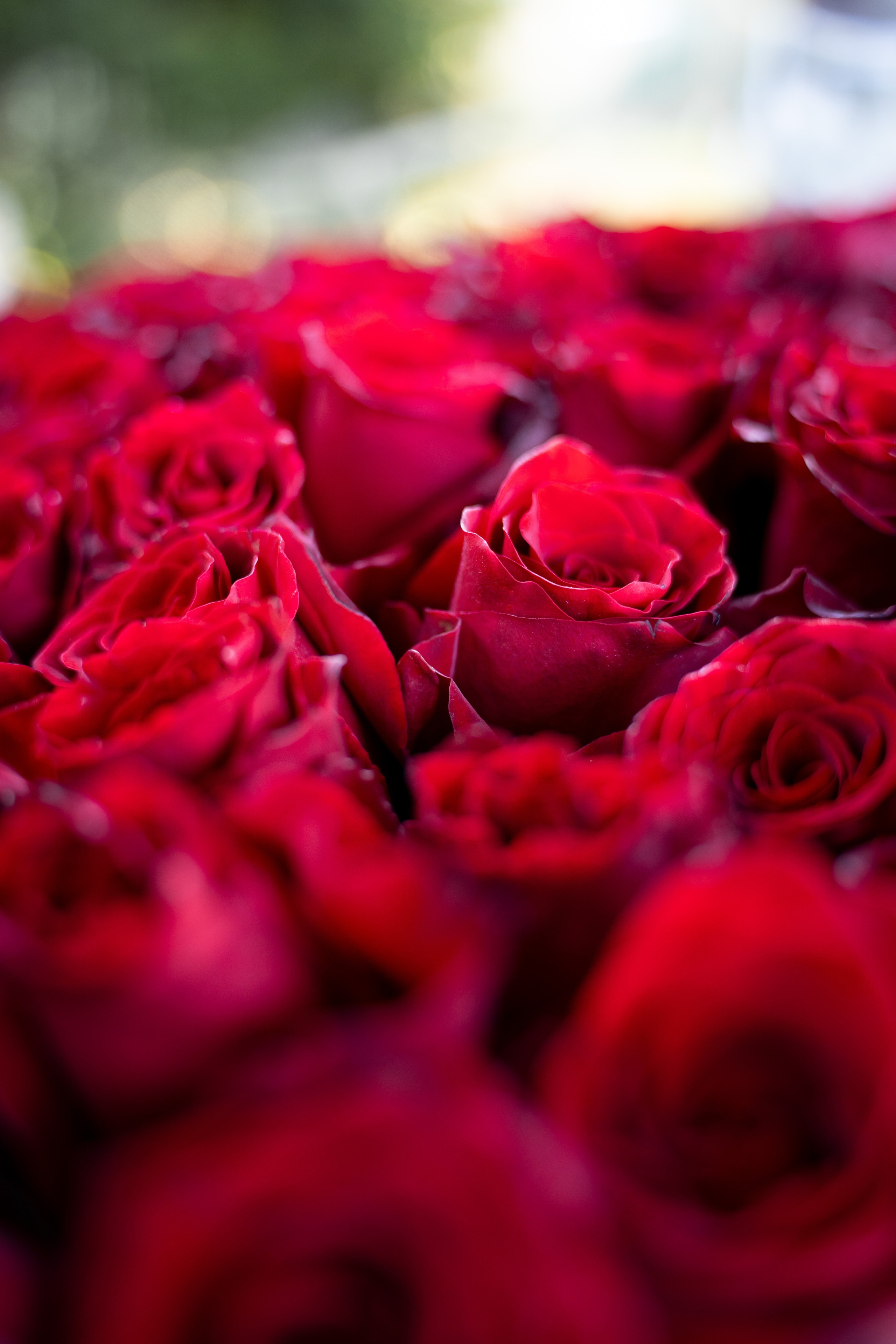 День Рождения за городом. Фотограф в городе Владимир