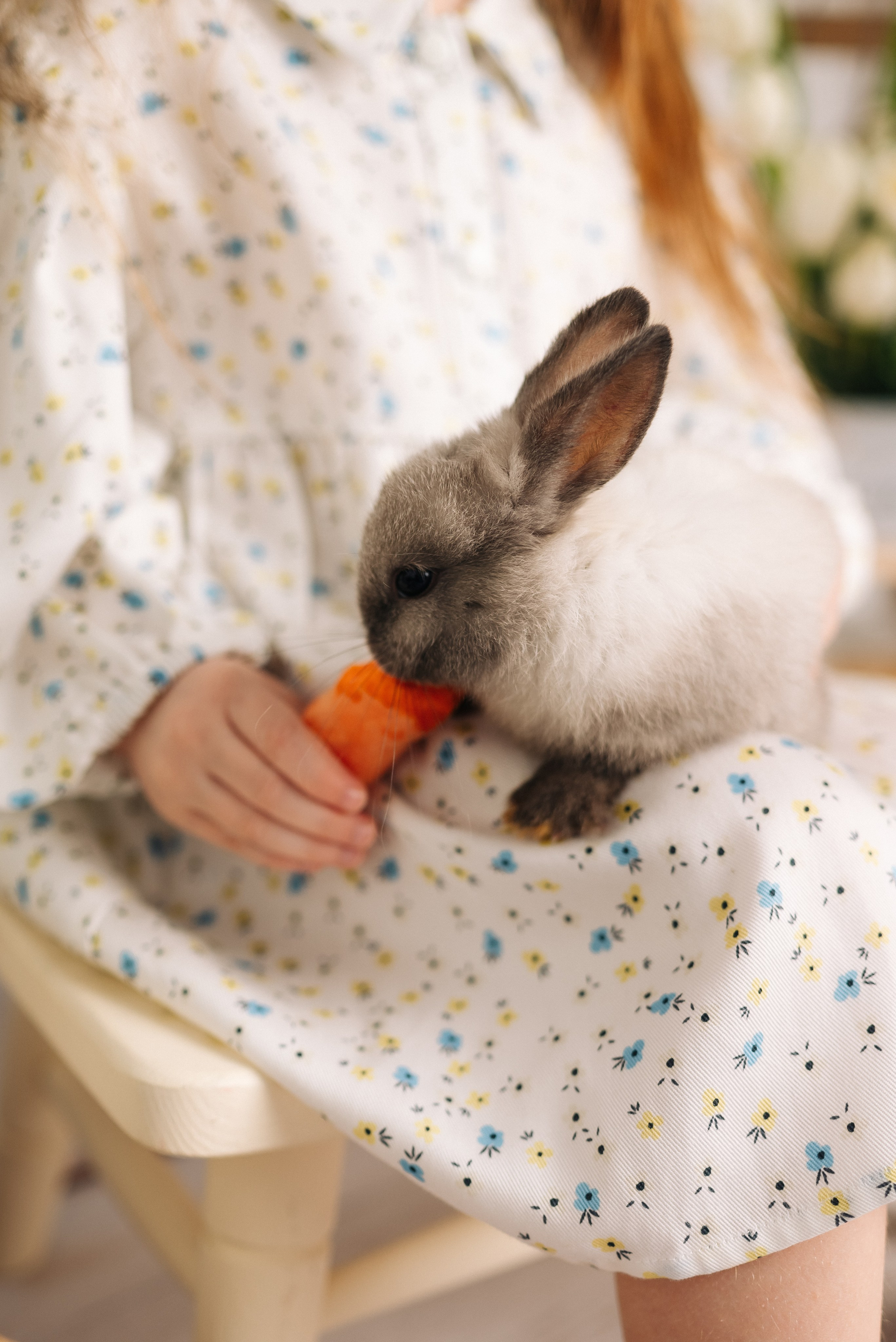 Фотопроекты. Фотограф новорожденных в Иваново Виктория Судницына