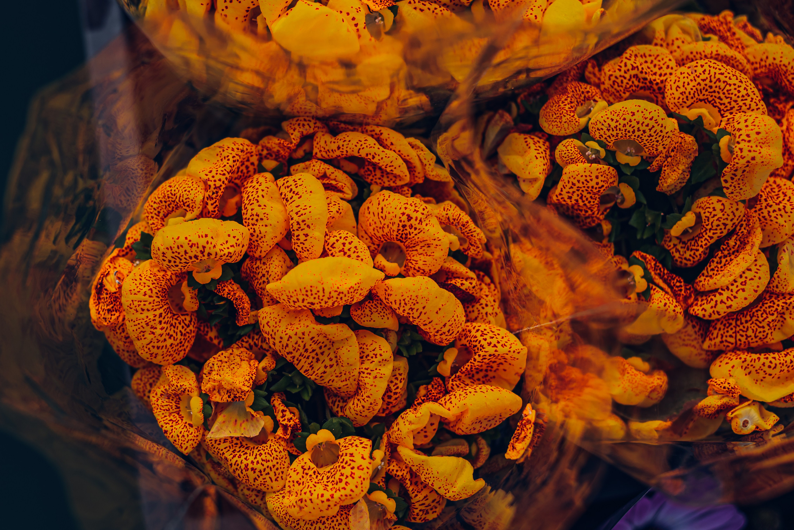 Путешествие рекламного фотографа из Гуанчжоу по Гонконгу 2 | Истории и вдохновение. Коммерческий и предметный фотограф в Гуанчжоу Коваленко Александр