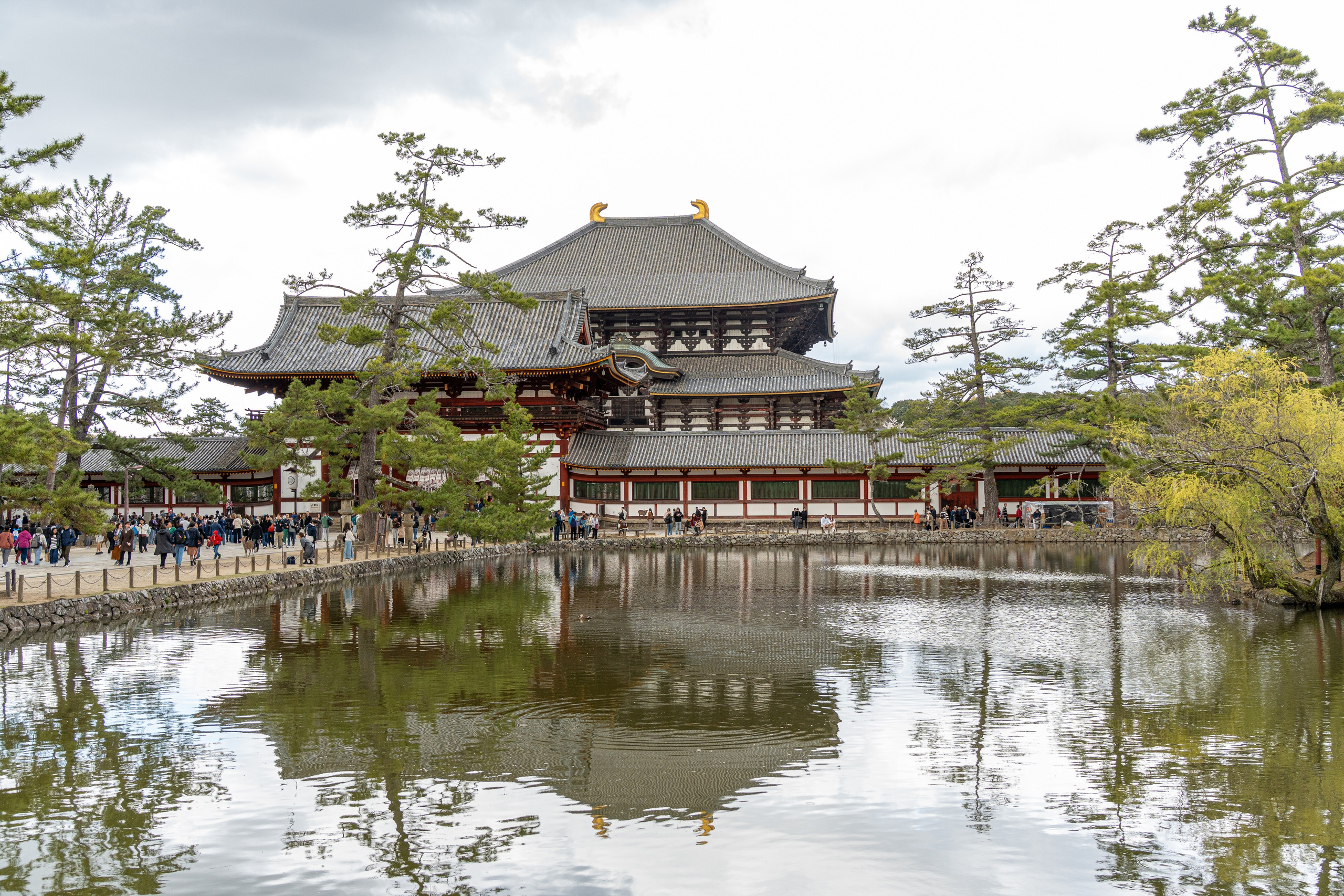 Япония, сакура. Творческие сьемки