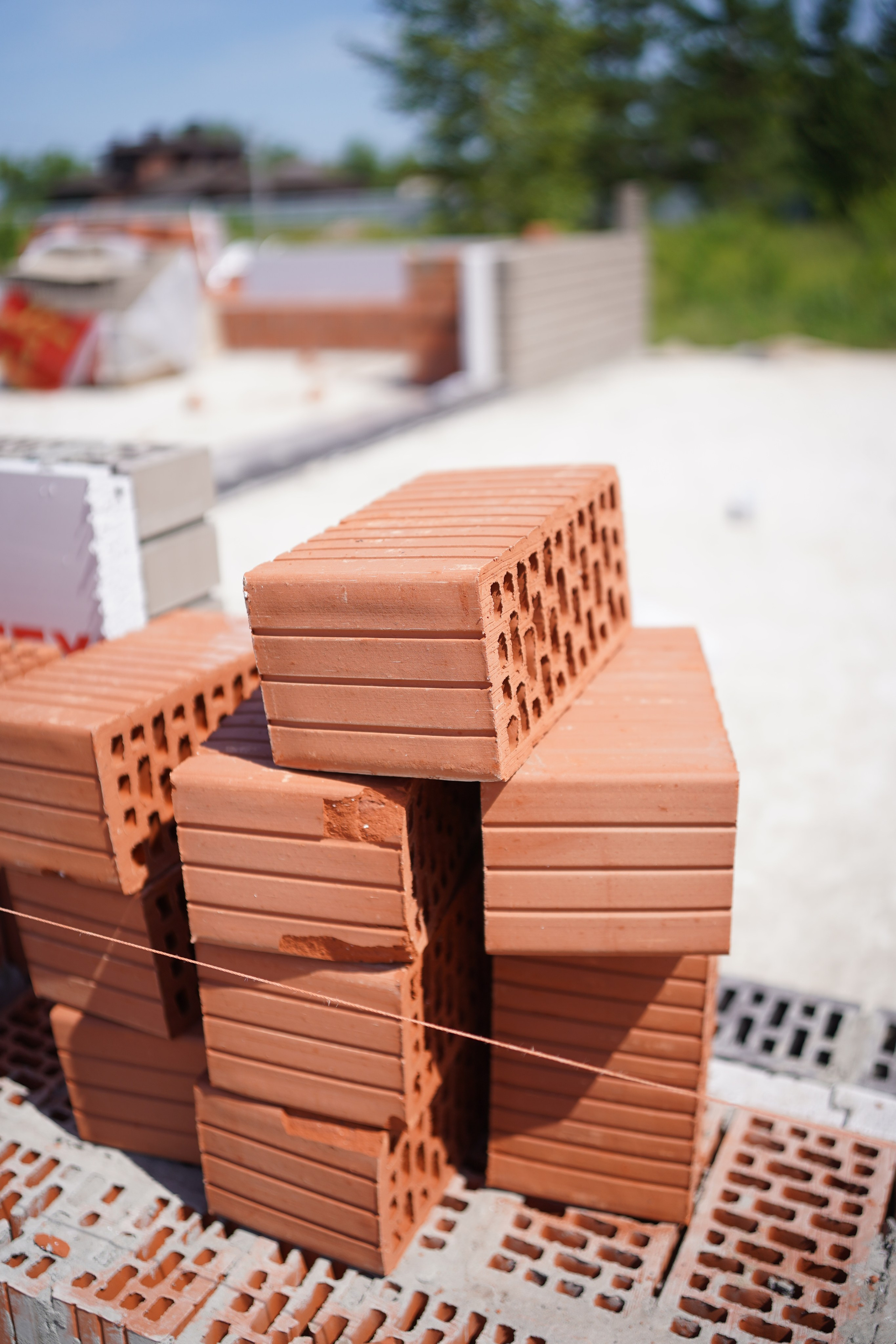 Покровский сад. Das House