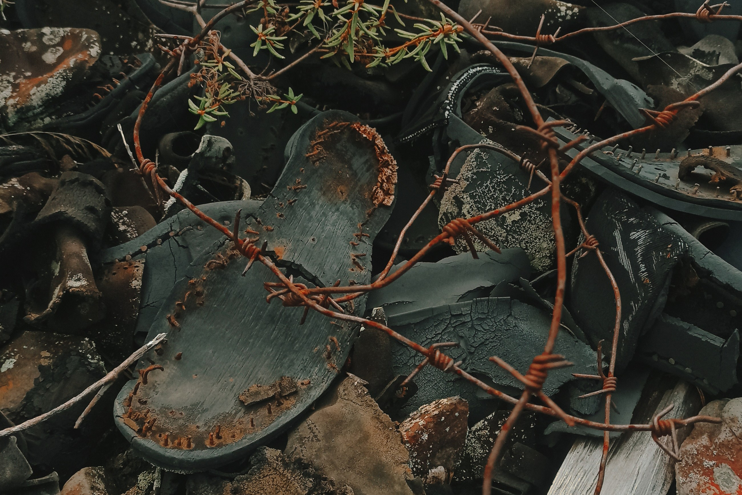 Планета Колыма. Элина Гусарова