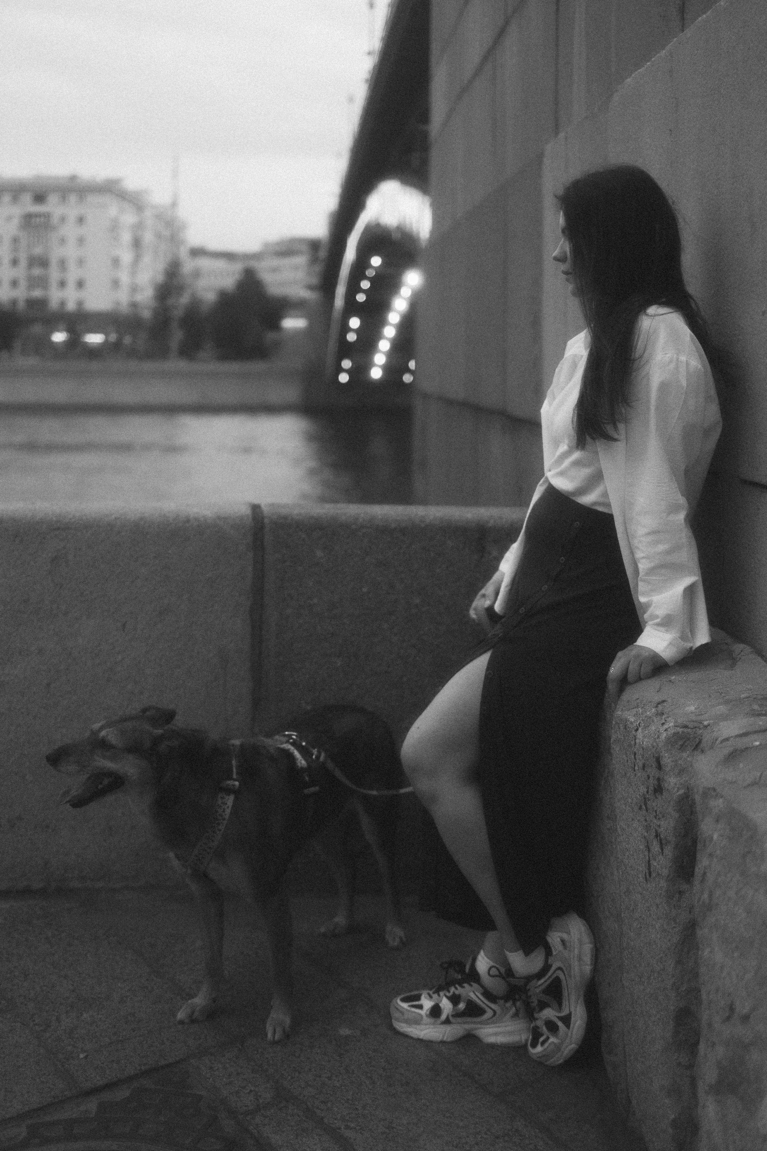 Глаша, Айрон, Ксюша и Оля. Фотограф анималист Анастасия Пикей