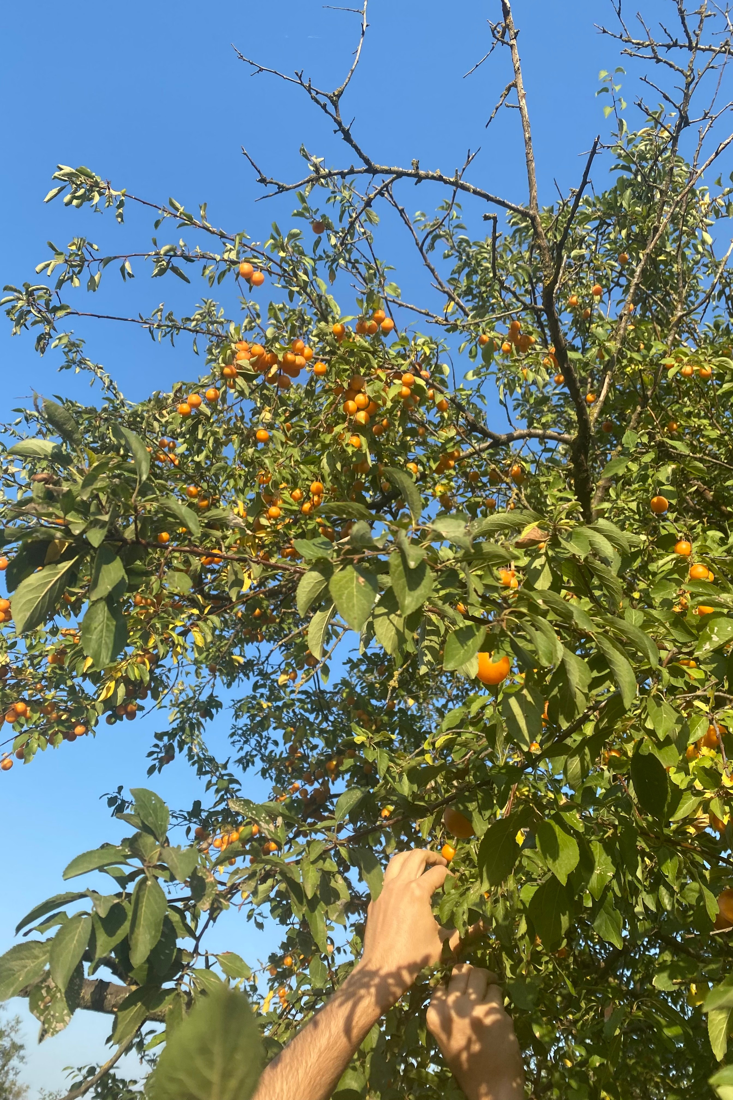 Автор: Дарья Васина