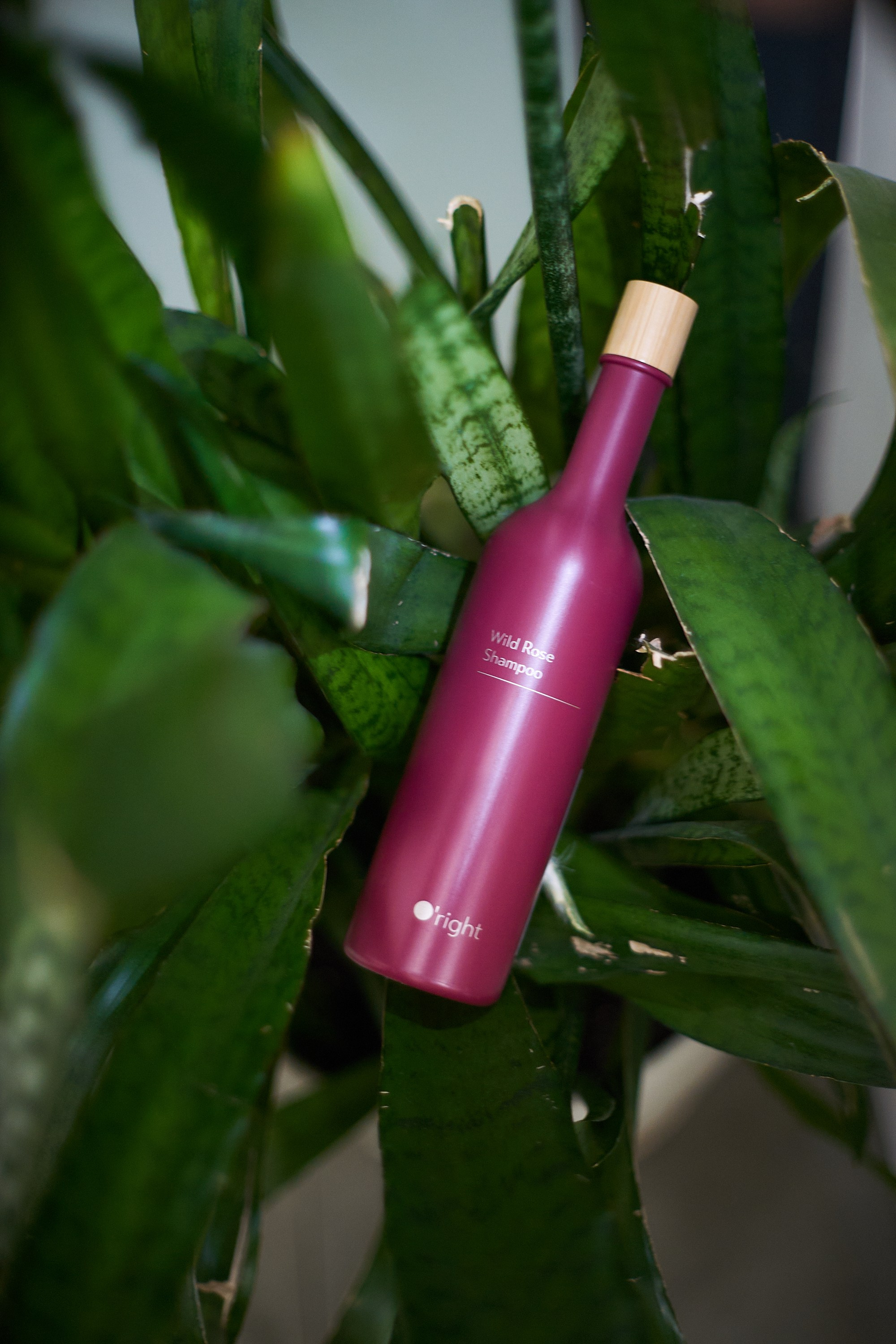 Фотосъёмка клиентского дня O'right | Event-фотограф Москва. Артём Савиных — профессиональный фотограф в Москве | Репортажи, свадьбы, портреты