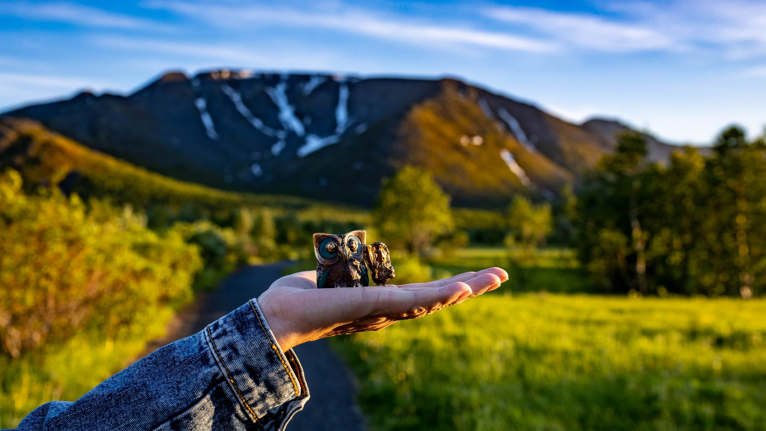 Ёжик и сова. Фотографии