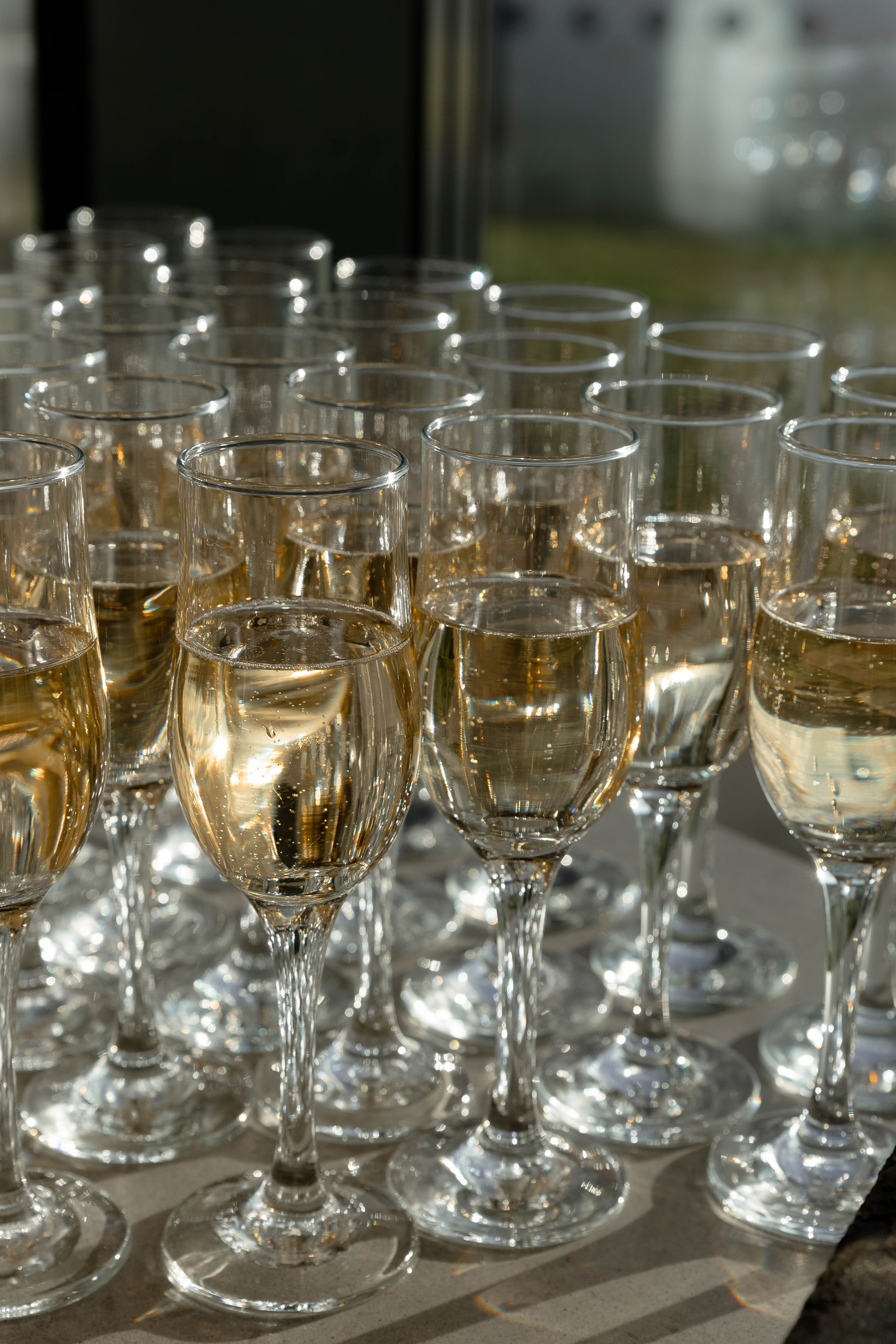 NIKOLAY|ALYONA. Главная