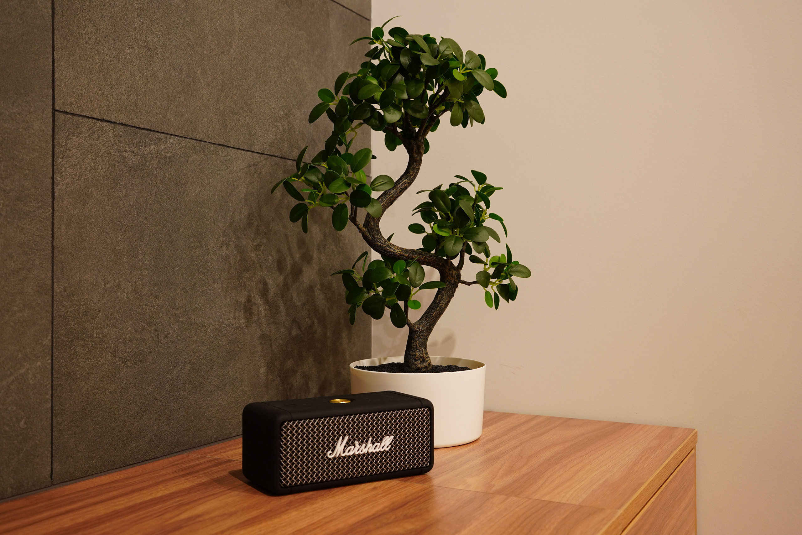 SHEVELEV. Главная