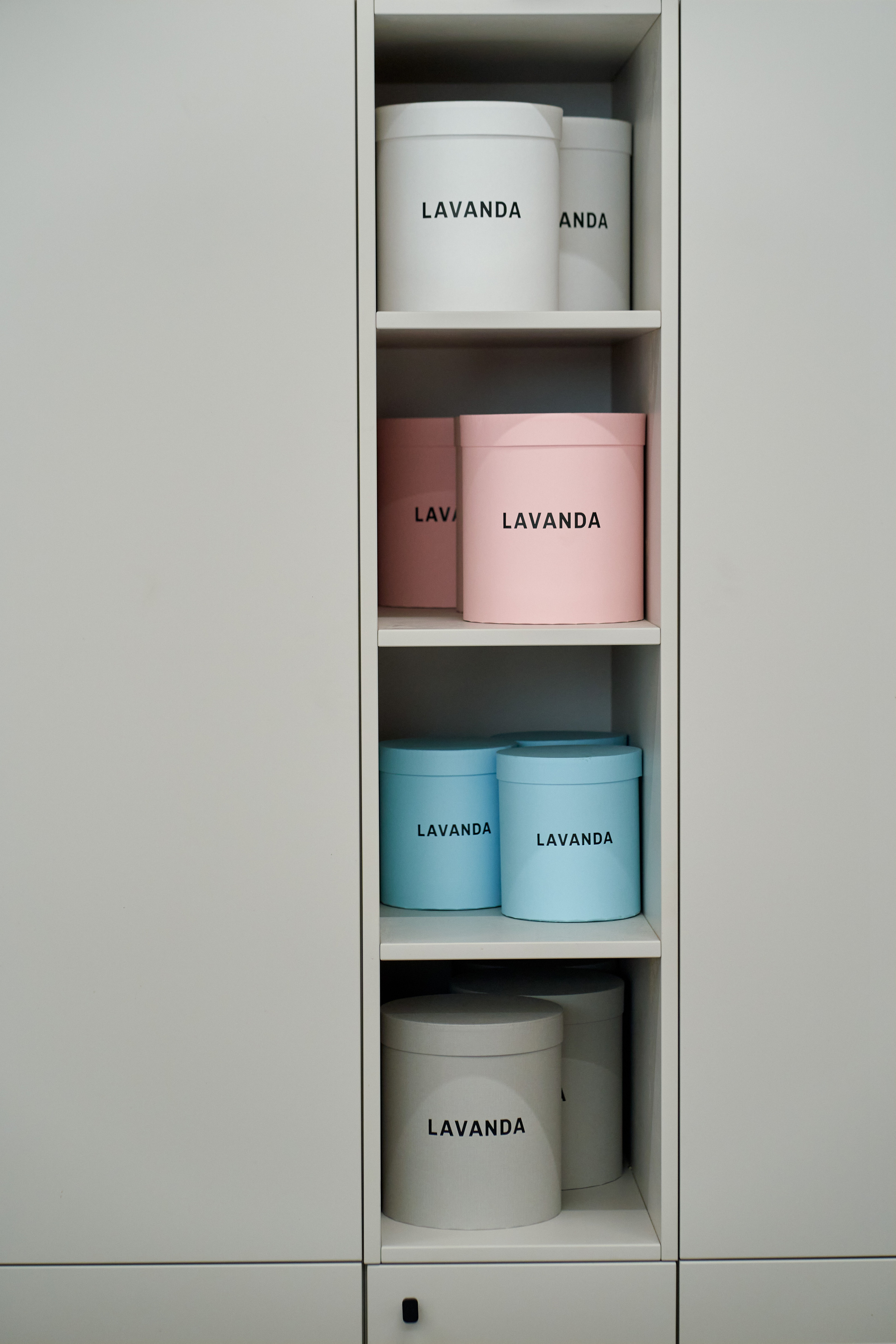 LAVANDA. Главная