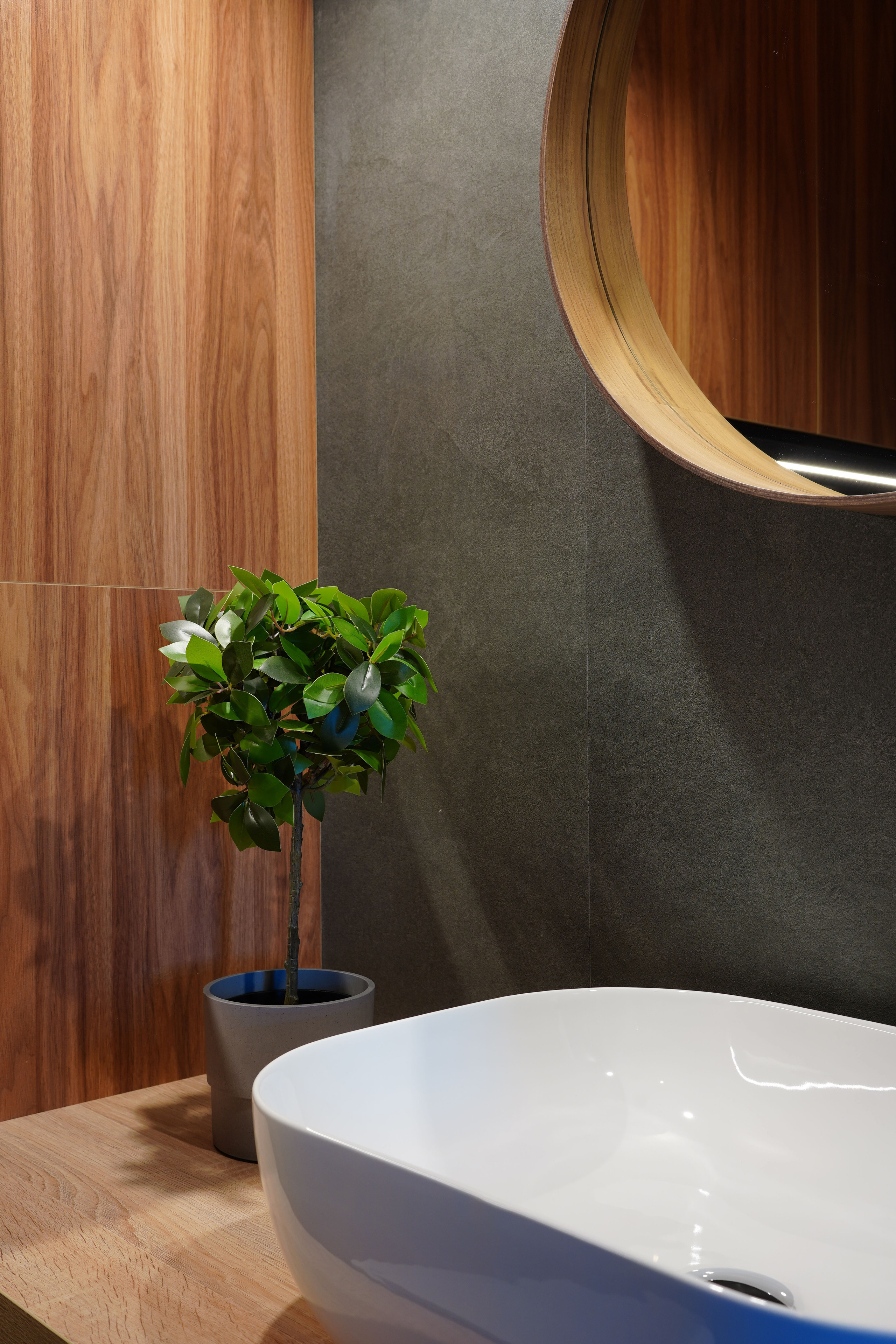 SHEVELEV. Главная