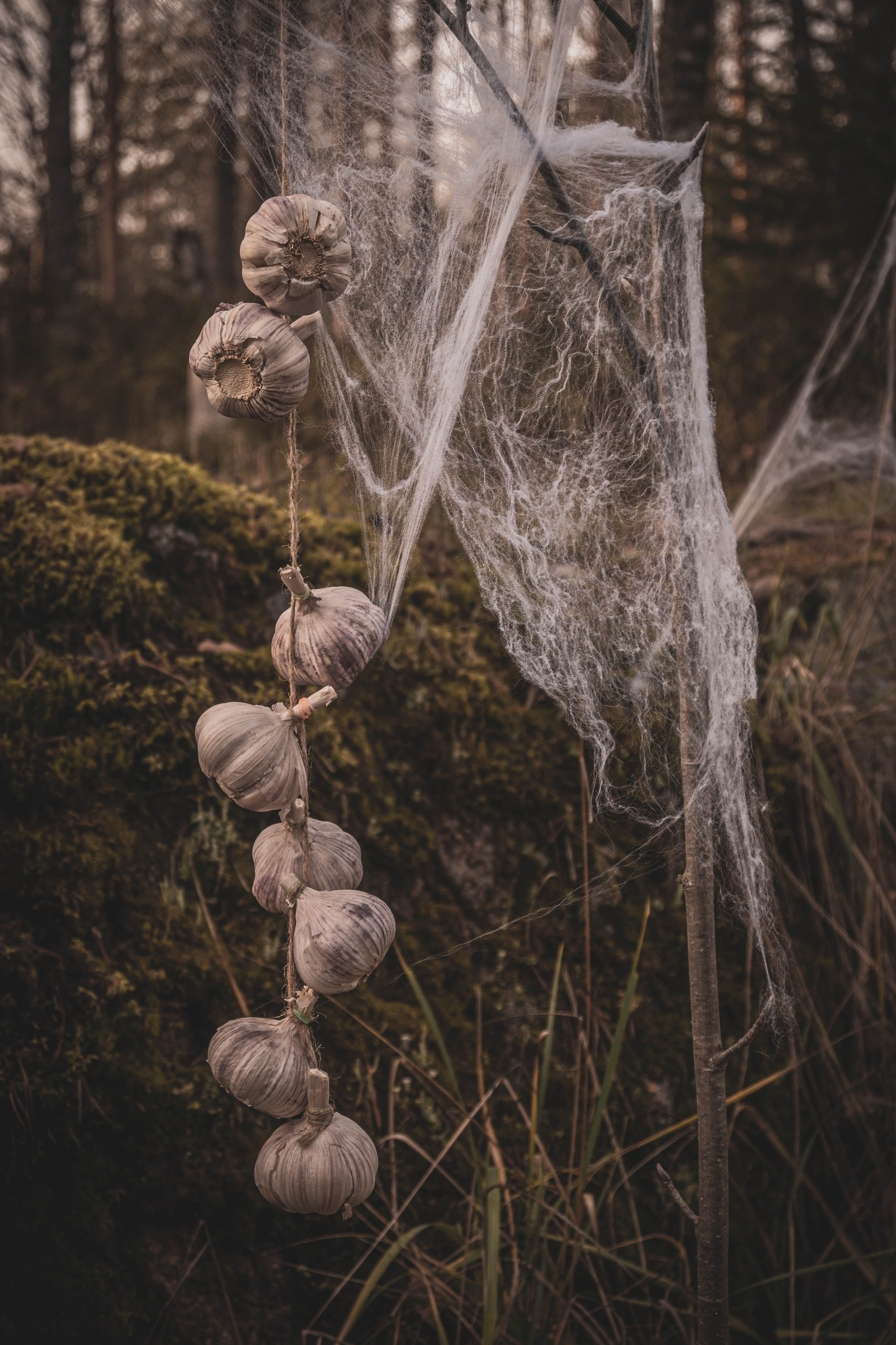 Ведьмочки. Фотограф Екатерина Шишкина. Питкяранта. Карелия