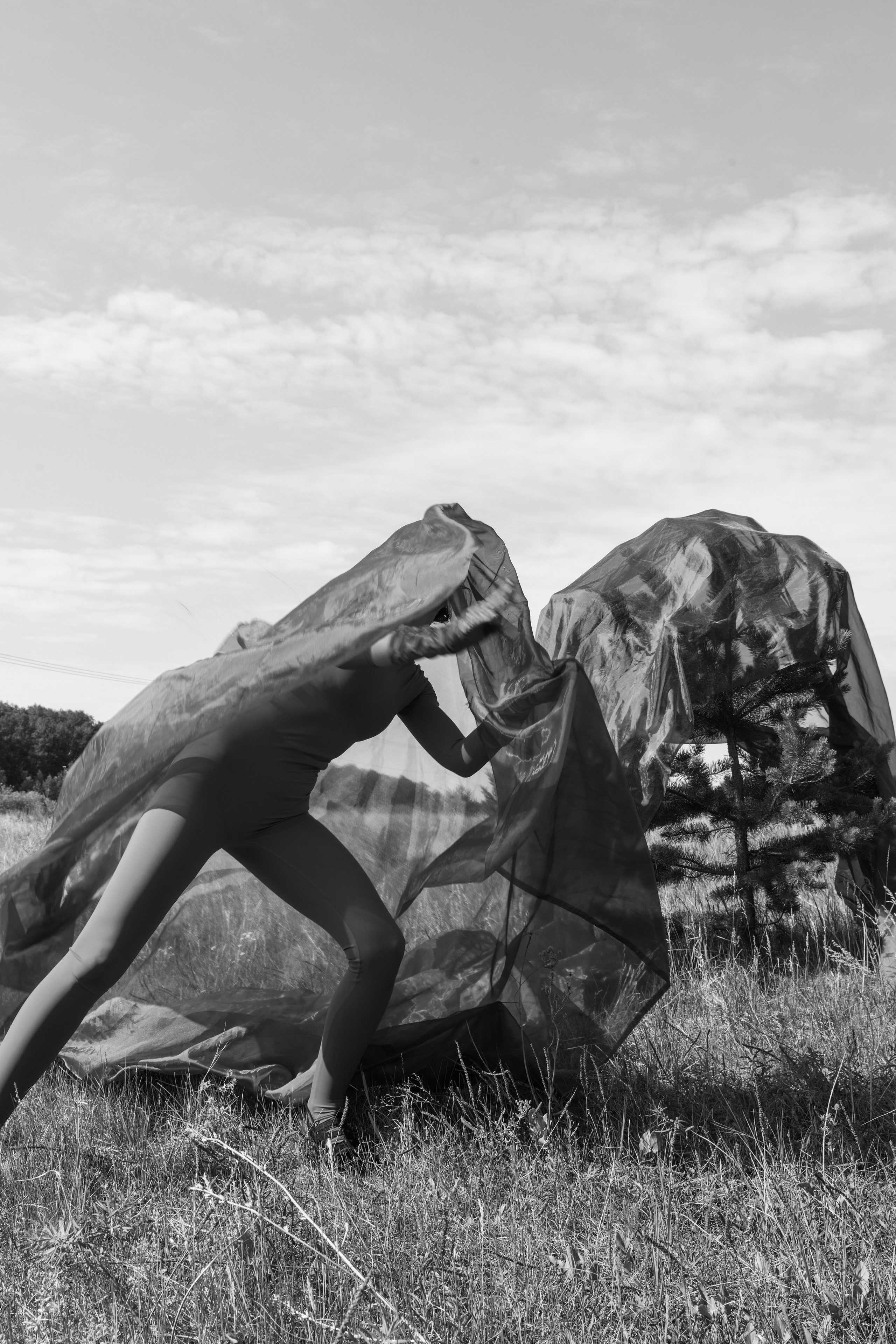 TERRA NOSTRA. Yulia Yurchevskaya | Art Director & Visual Visionary