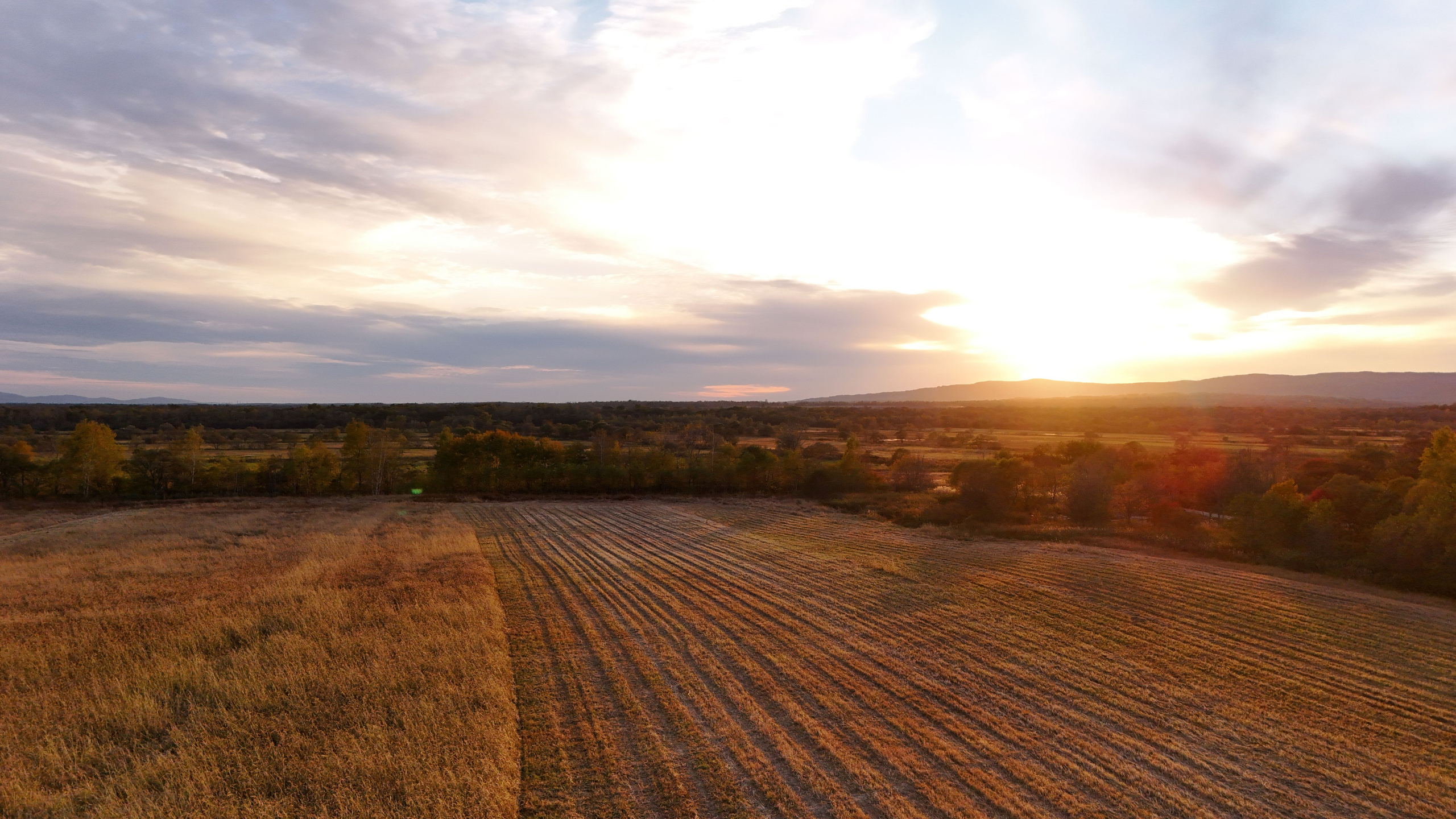 Съемка в поле для 3-го класса. Photoalbum-vl.ru
