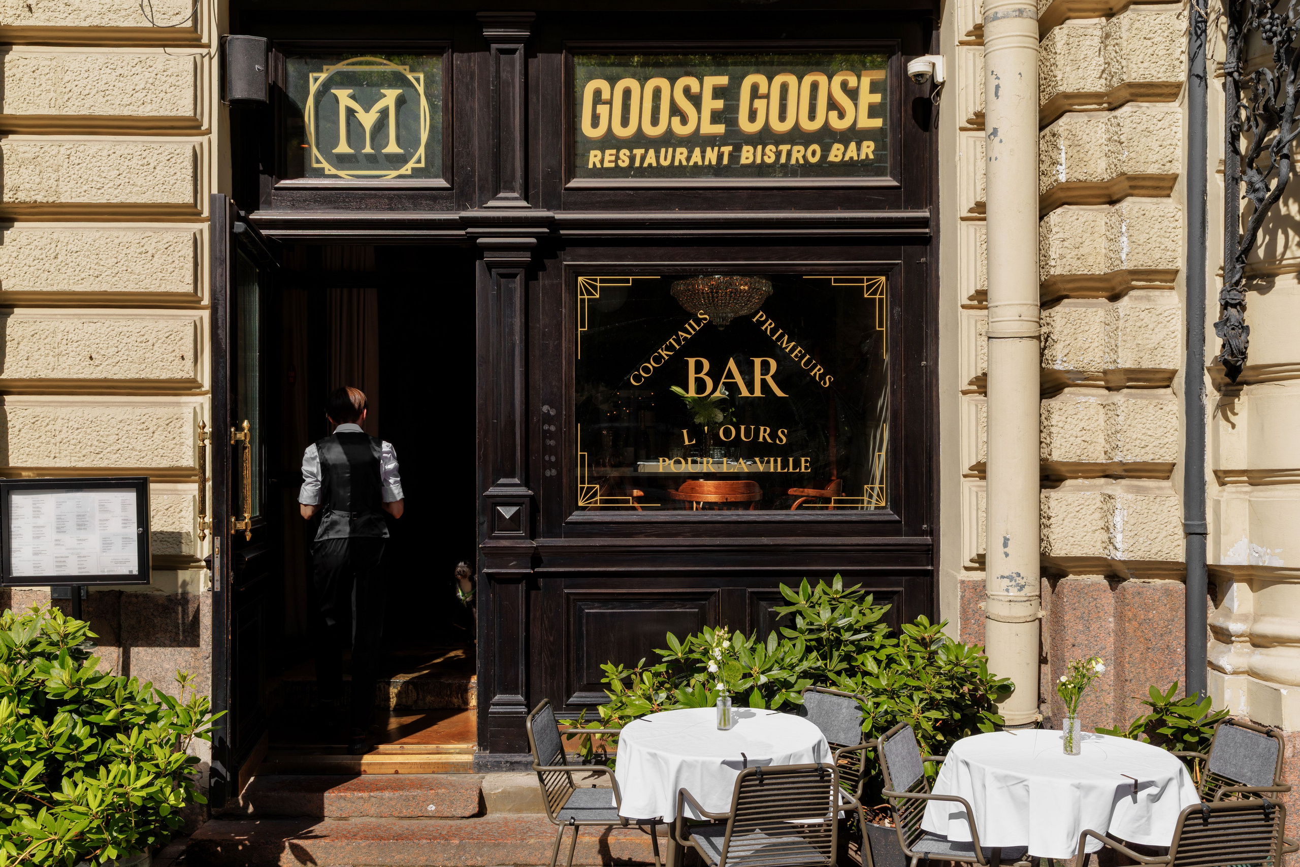 Медведь. Репортажный фотограф в Санкт-Петербурге Жолудев Владислав