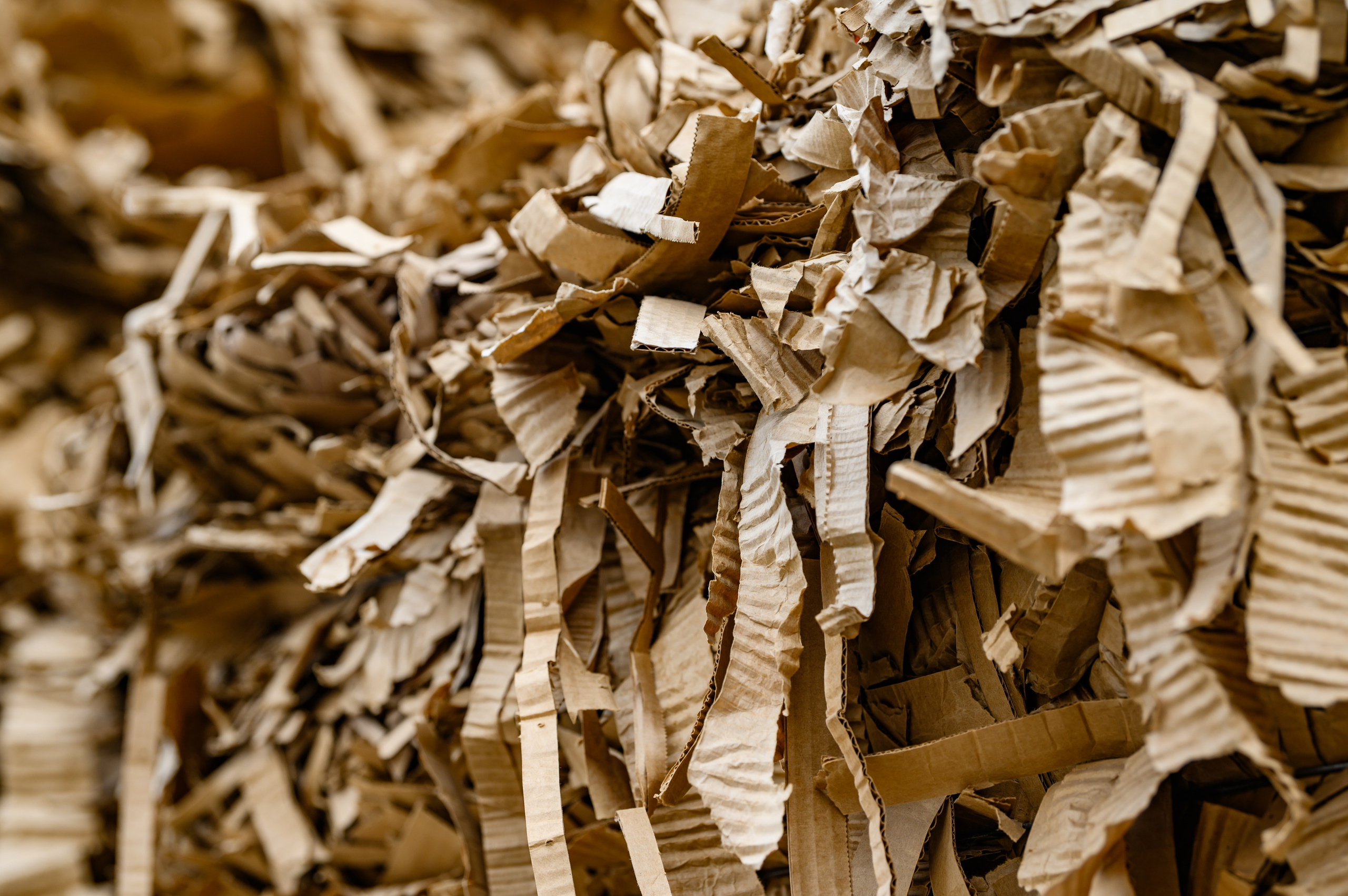 Проекты. Профессиональный фотограф Вячеслав Плацында | Липецк |