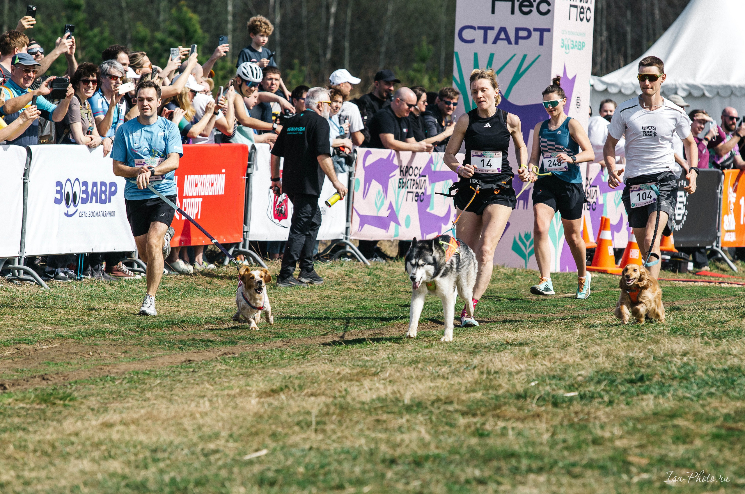 Кросс «Быстрый пёс» 2025. Репортажный фотограф в Москве