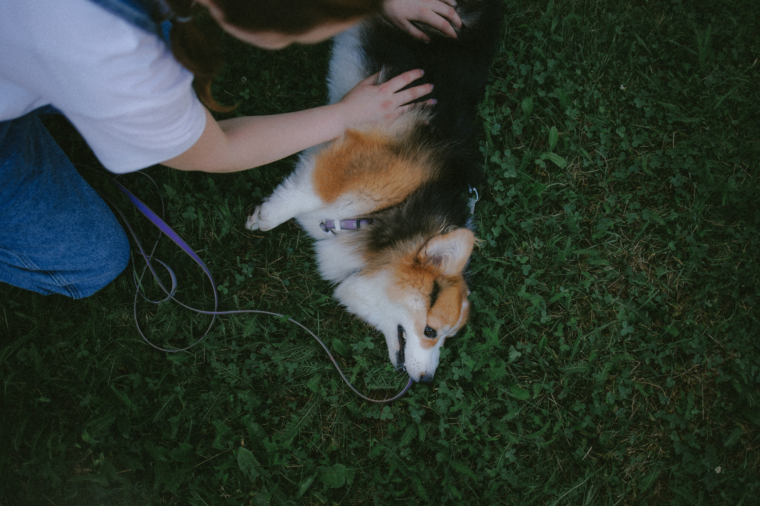 Мишель и Влада. Фотораф — анималист Мария Шистка