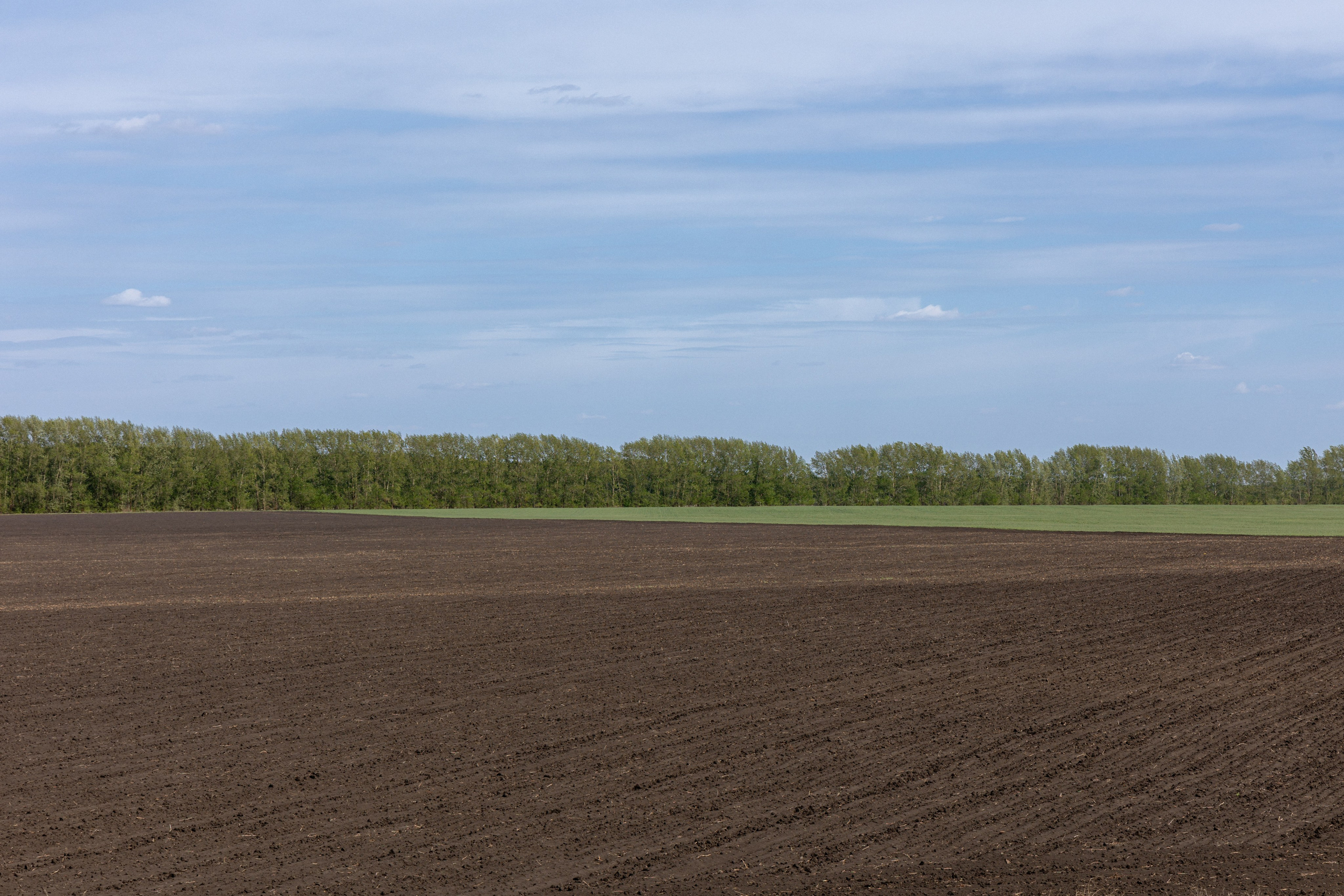 Земельный участок с объектами на нём. Владислав Волков | Фотография и видеосъемка в Воронеже
