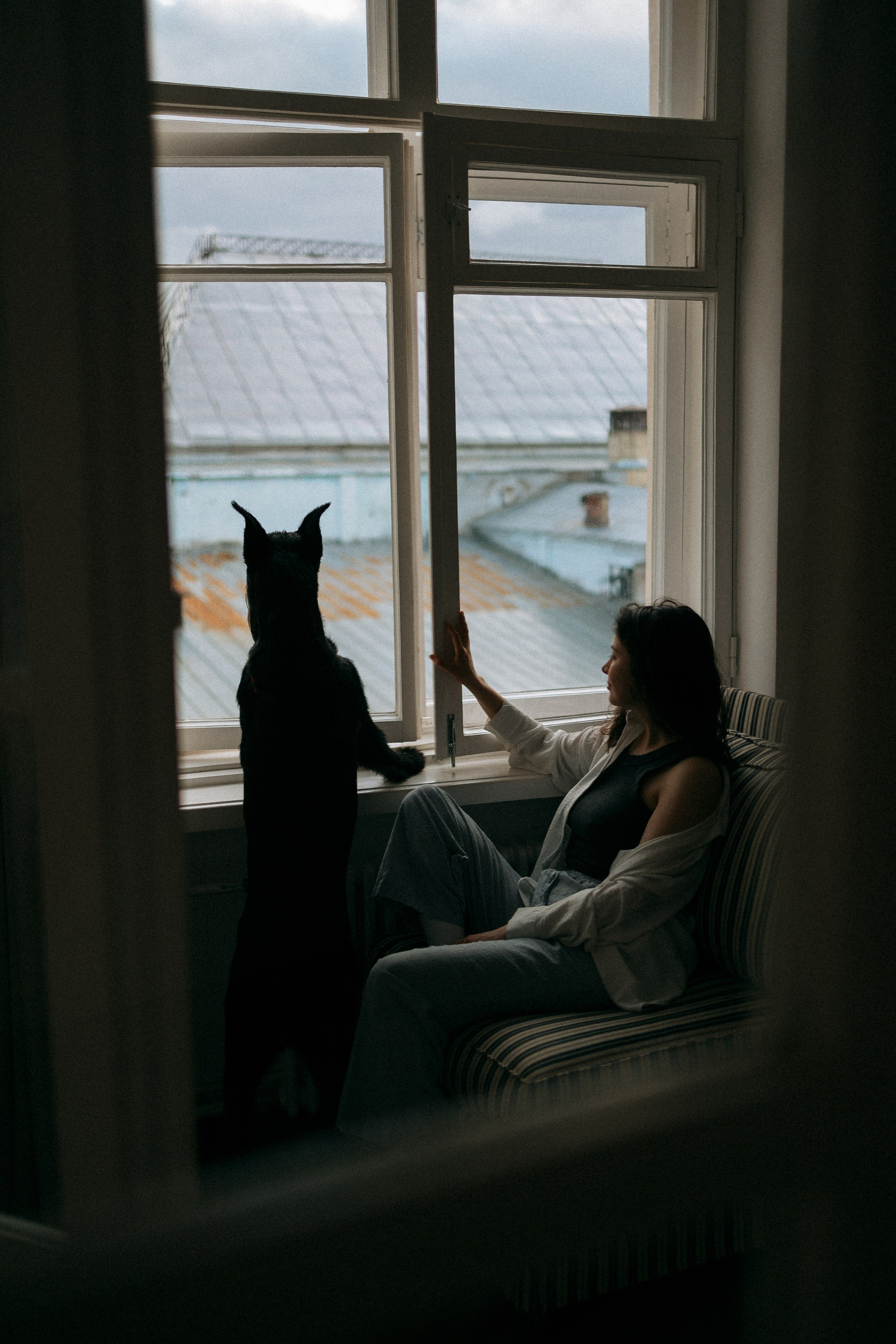 Умбра и Даша. Фотограф анималист Анастасия Пикей