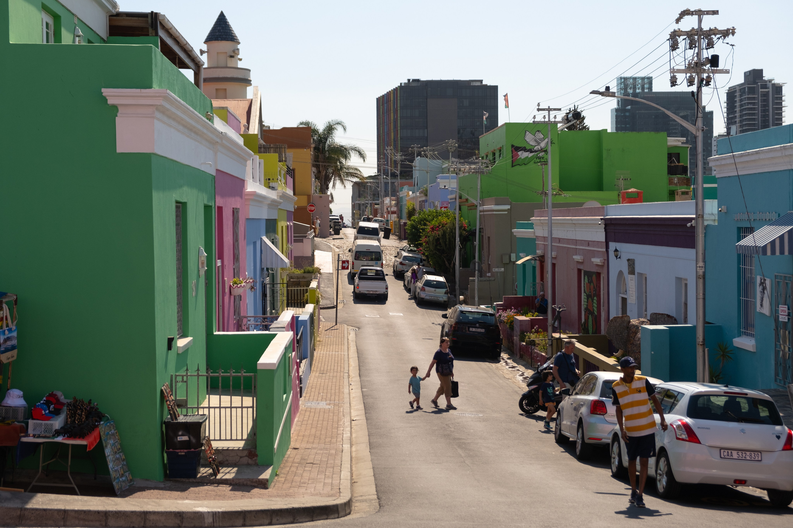 Морские котики и закат. Фотографии из путешествий