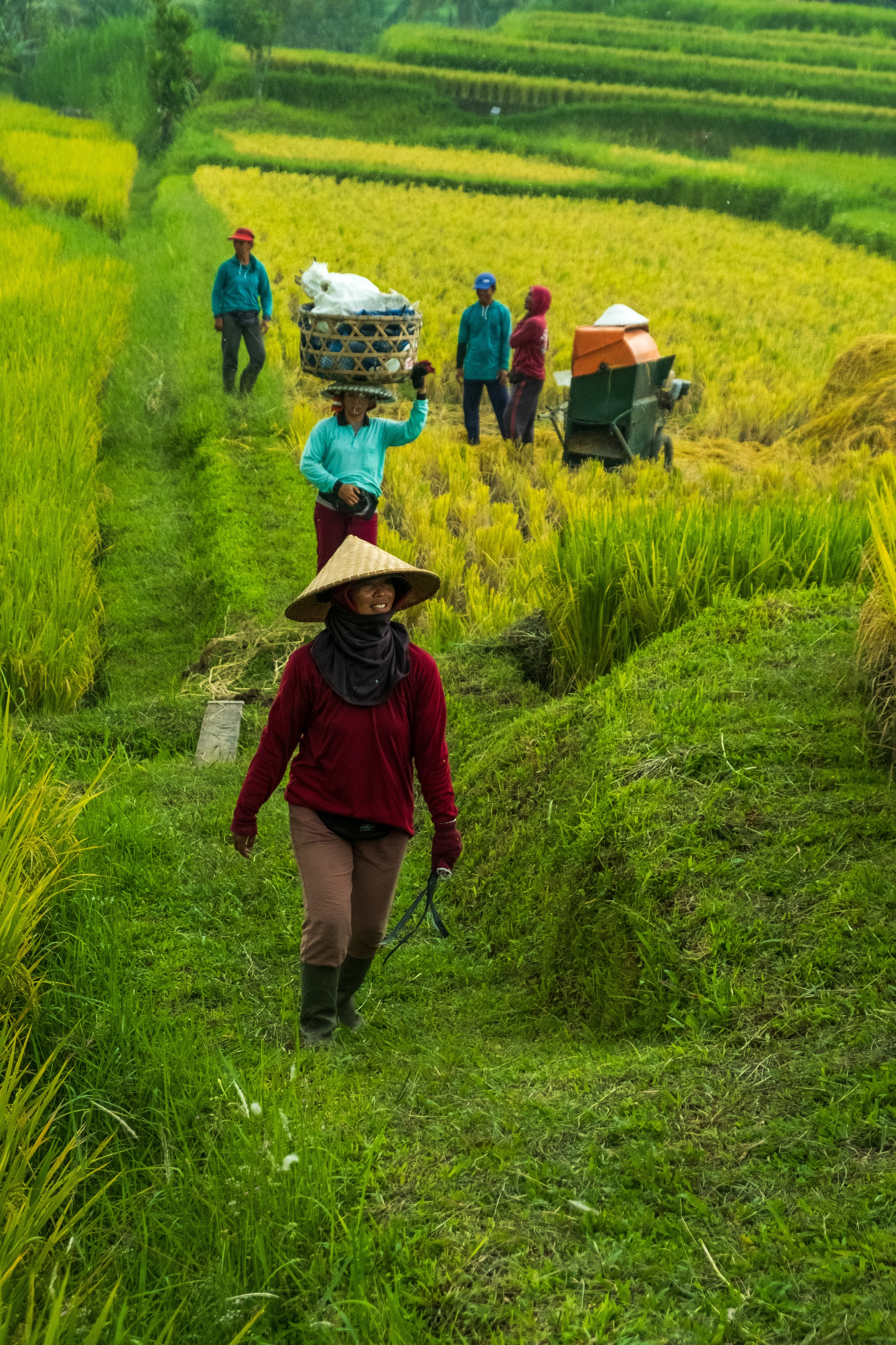 Остров Бали. Фотографии из путешествий