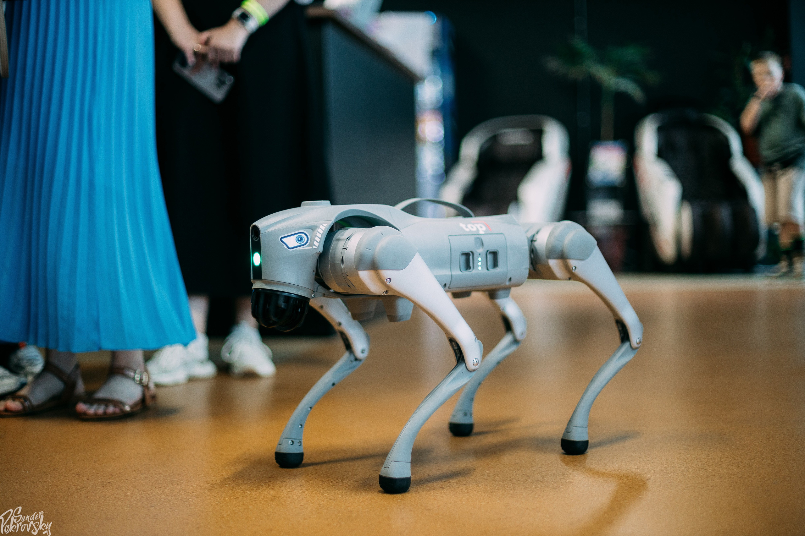 Zaga Game. Свадебный и репортажный фотограф в Чебоксарах Покровский Александр