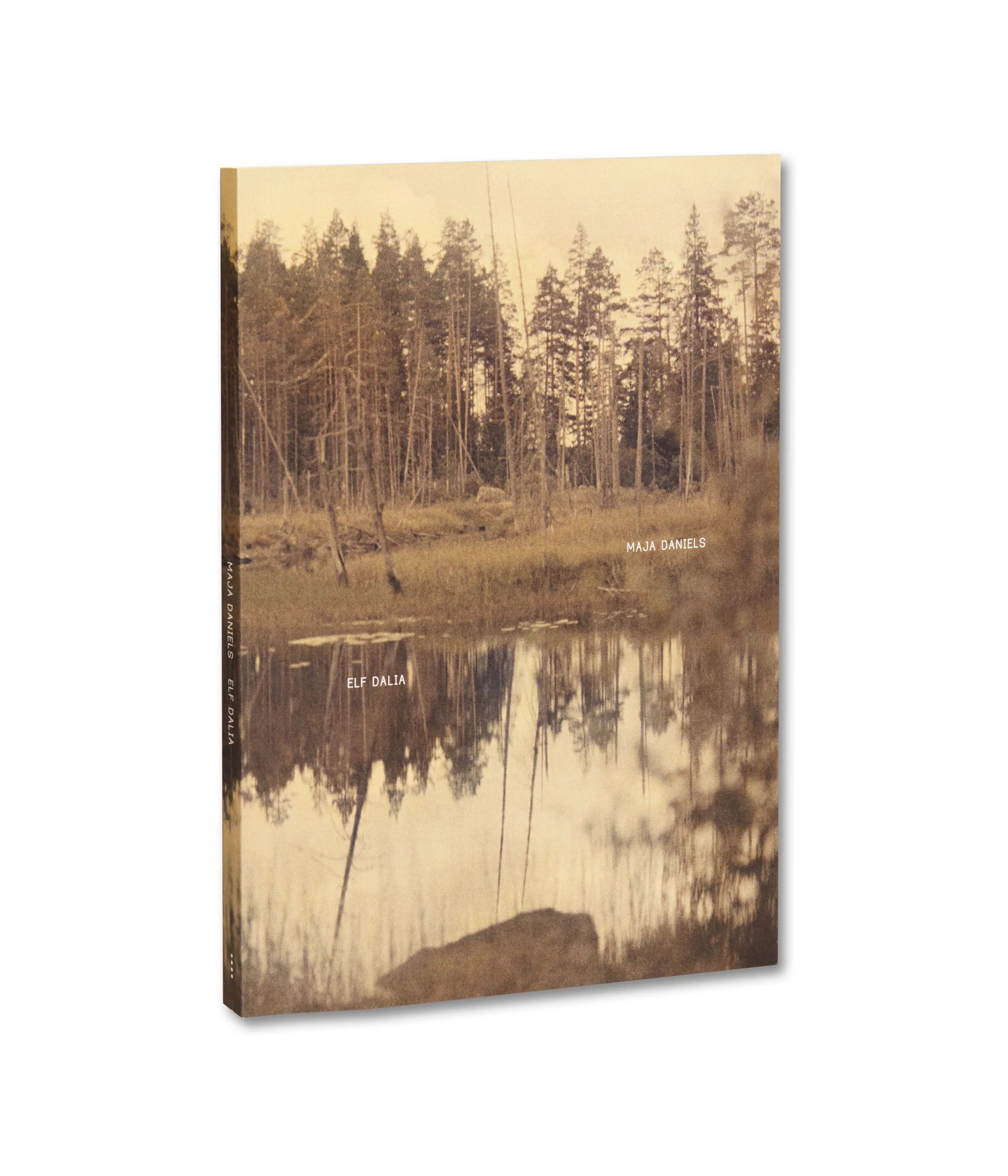 ИНТЕРВЬЮ С АВТОРАМИ: Maja Daniels. Самоорганизация Низина