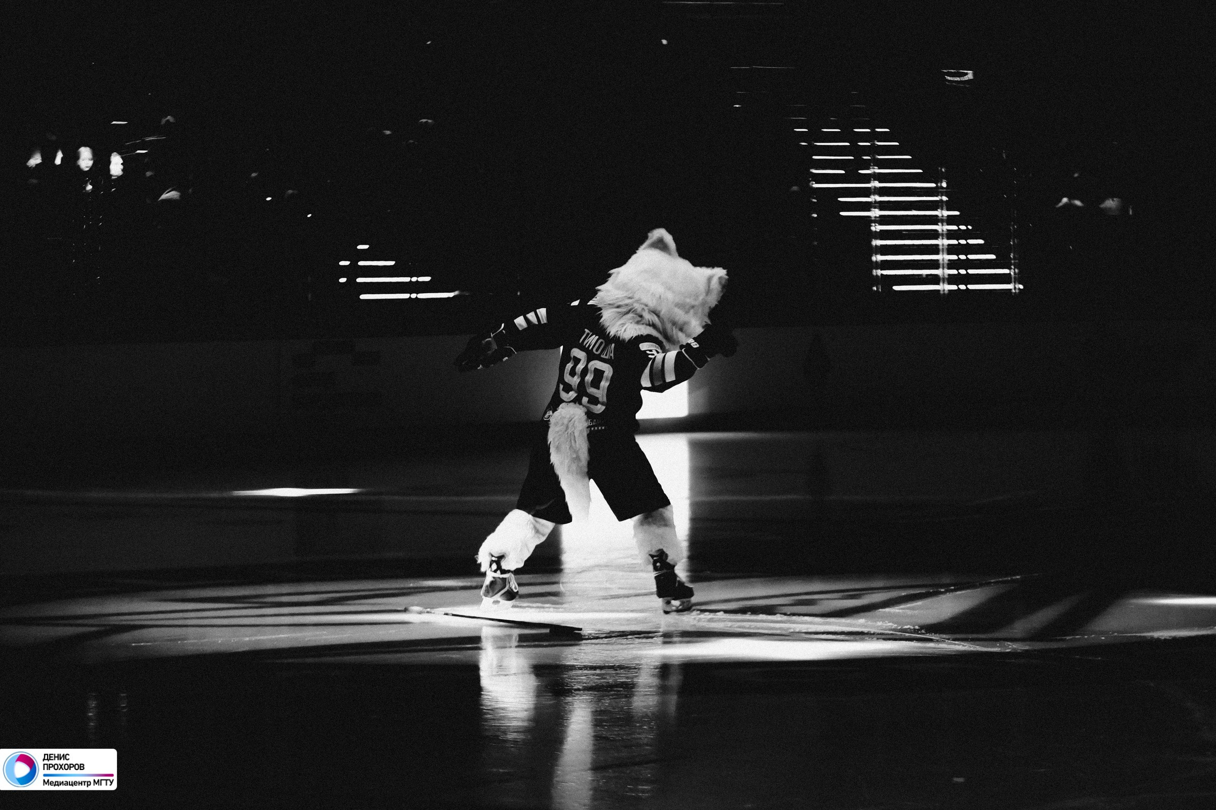 Матч Звезд СХЛ / 26.11.23. Денис Прохоров Фотограф в г. Магнитогорск